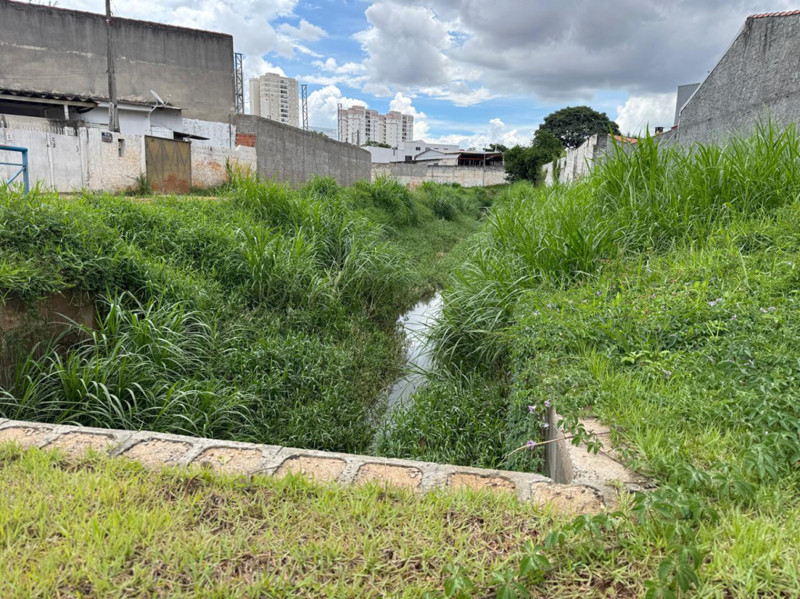 Prefeitura garante que há reforço na limpeza de córregos