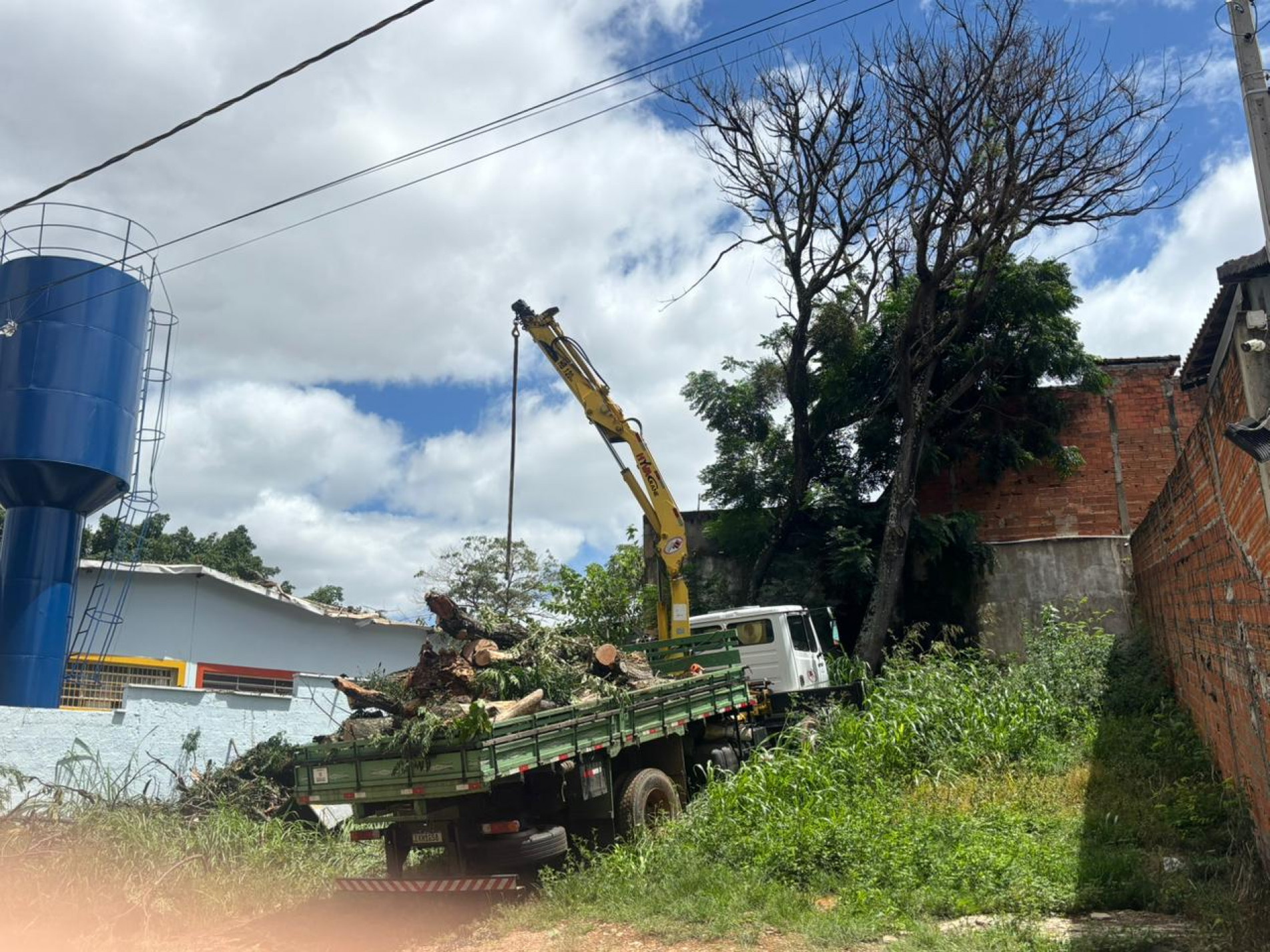 Secretaria de Serviços Públicos e Obras (Serpo) removeu, na manhã desta terça-feira (20), os resíduos da árvore.