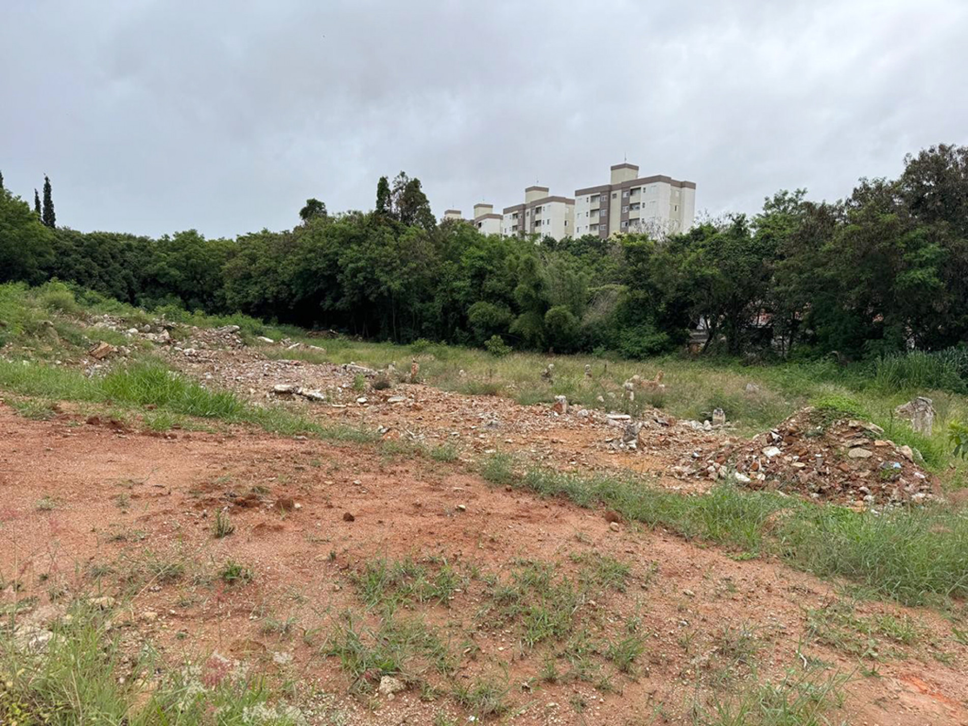 Mato alto, entulho e córrego próximos a antigo hospital psiquiátrico preocupam moradores, que relatam animais dentro de casa
