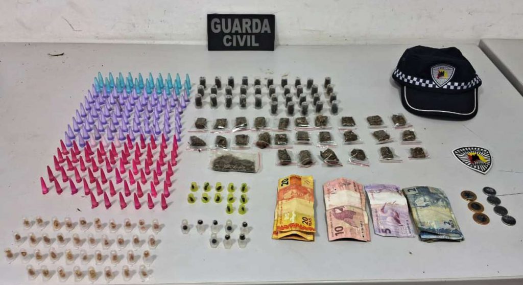 Os agentes localizaram 273 porções de entorpecentes, sendo 156 de cocaína, 38 de crack, 27 de maconha, 32 de skank e 20 de haxixe