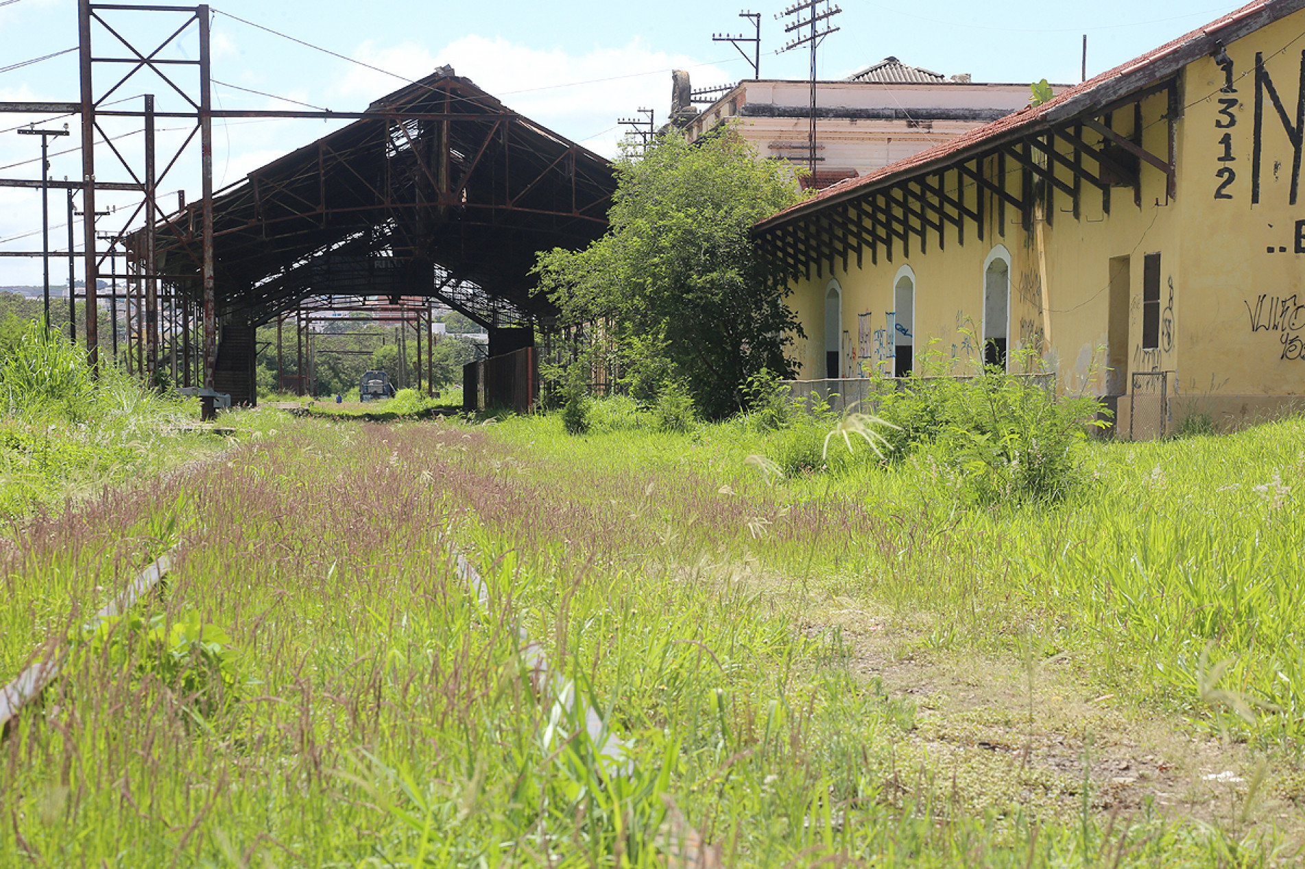 Vegetação toma conta da linha férrea, que 
corta a região central e diversos bairros