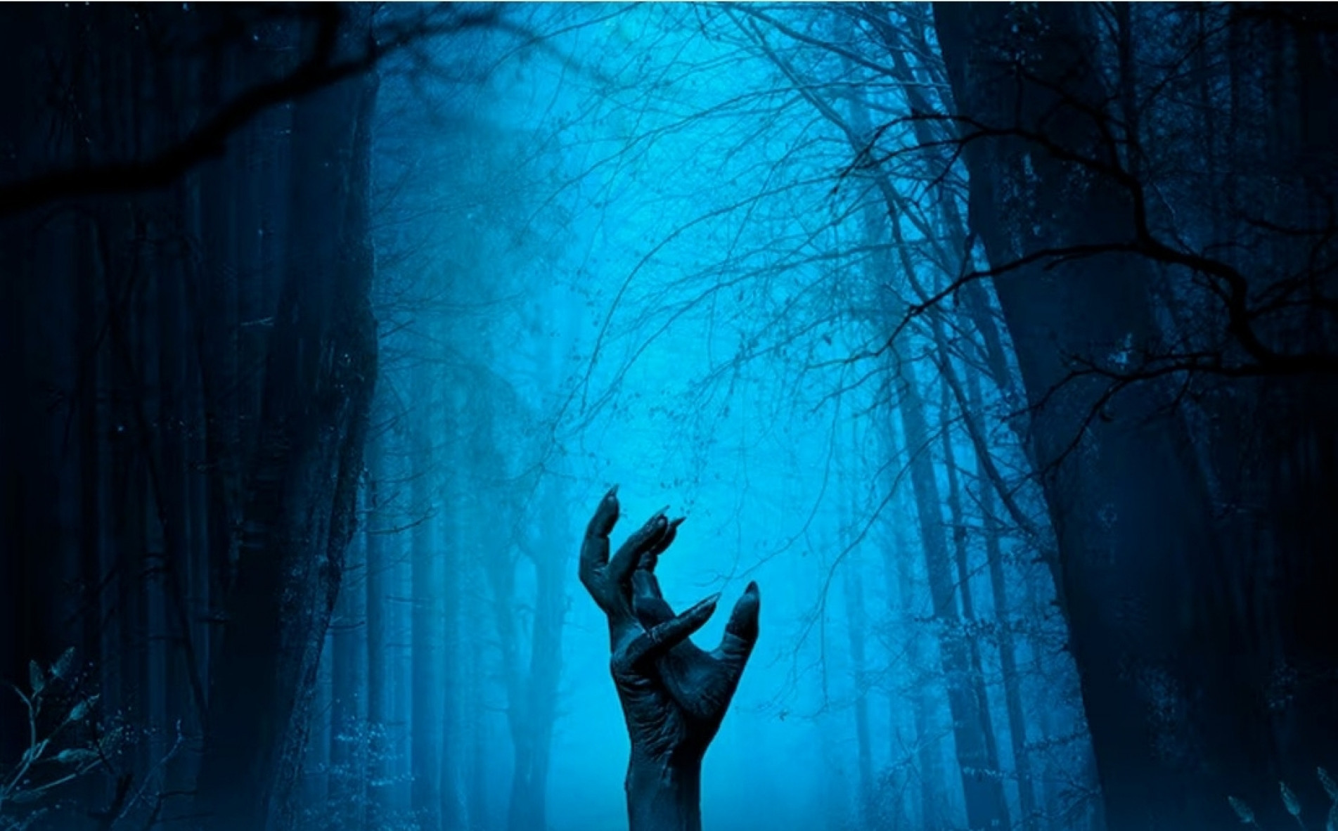 Atividade aborda leitura e escrita dos gêneros suspense e terror