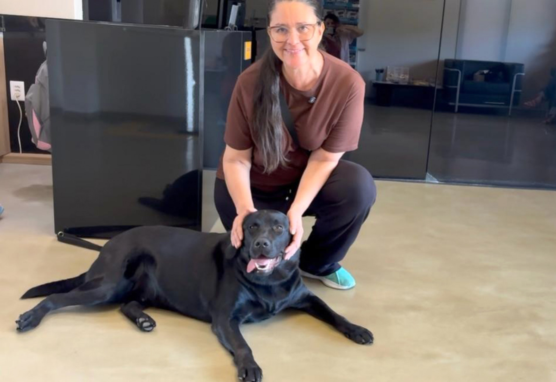 O voluntário passa a conviver com o cão a partir dos três meses de idade e fica com ele por um período pré-determinado
