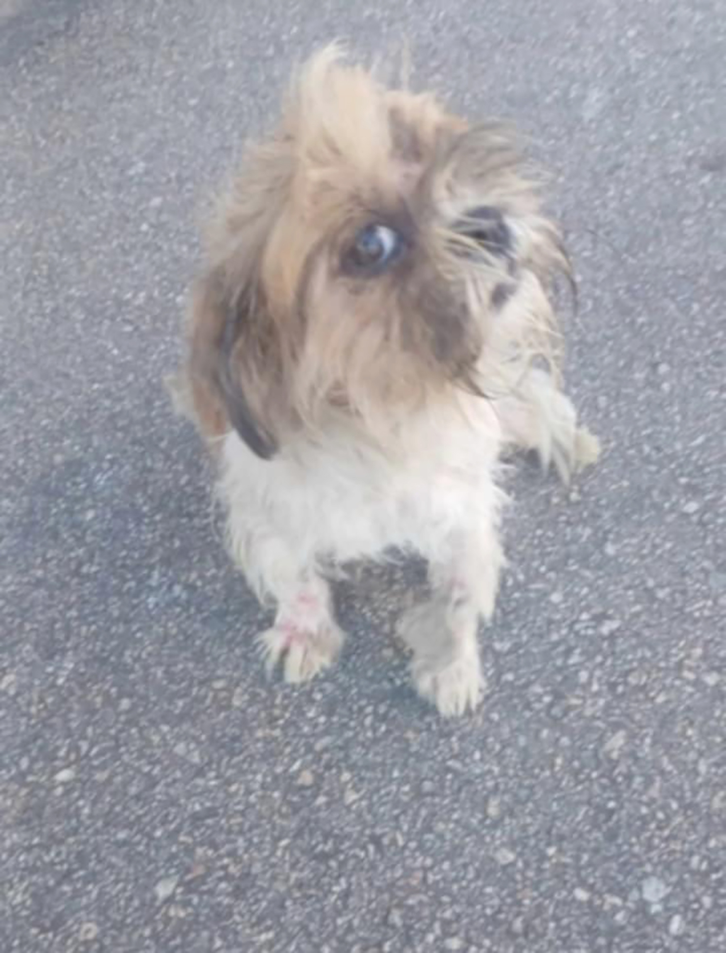 Decisão reconhece abandono de cuidados básicos 