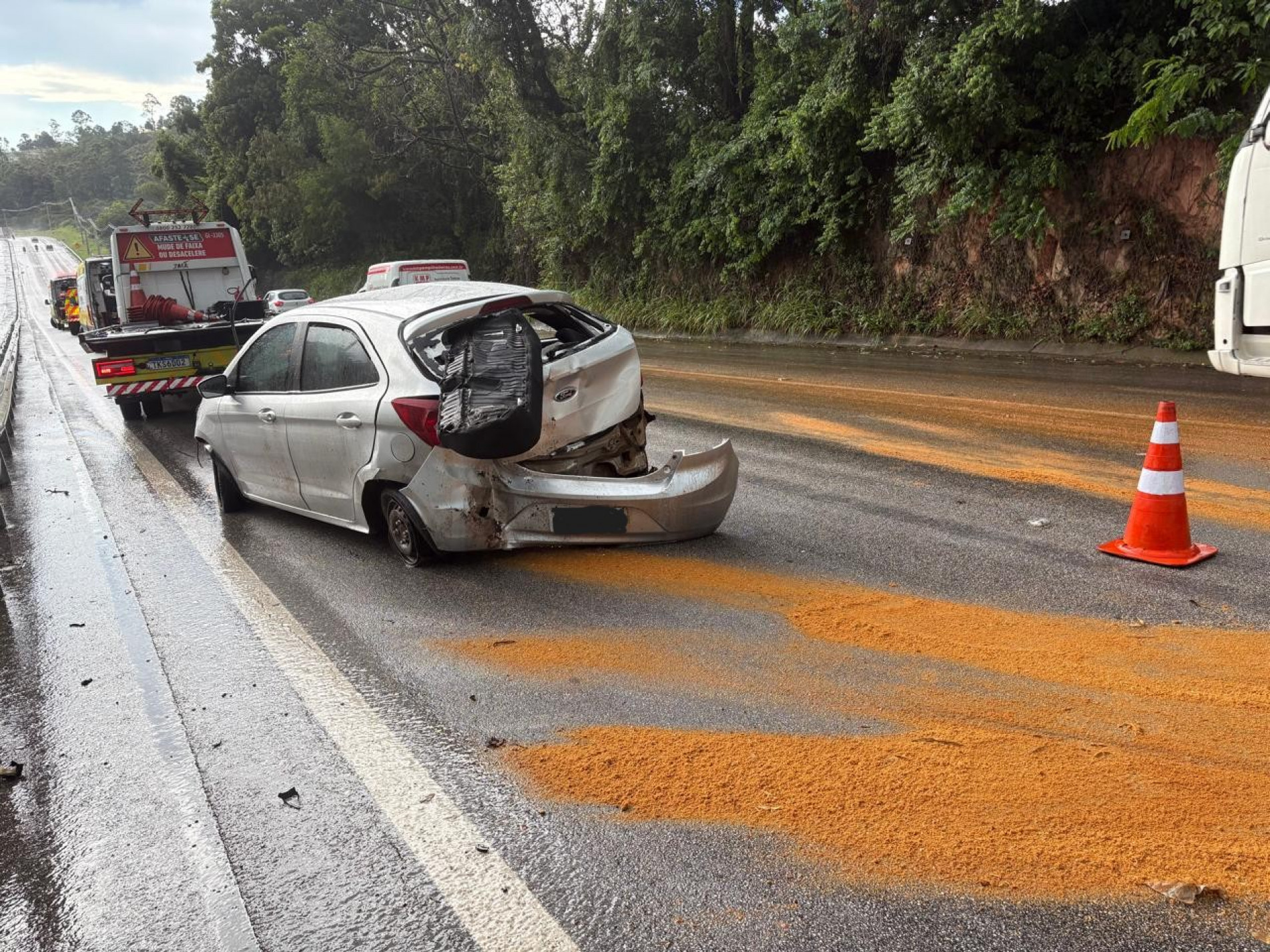 Uma das v&iacute;timas fatais e o homem socorrido em estado grave s&atilde;o parentes do passageiro que n&atilde;o se feriu
