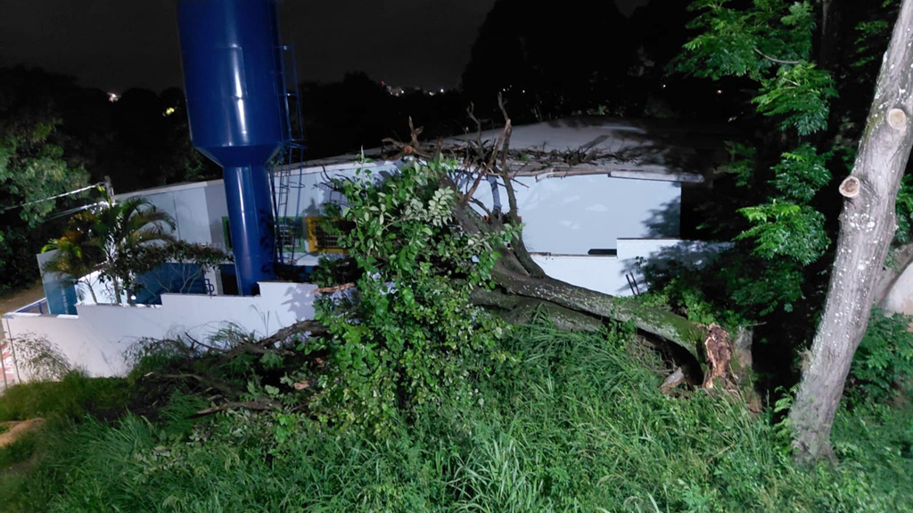 Uma árvore caiu no local no dia 19 de janeiro, após uma chuva forte