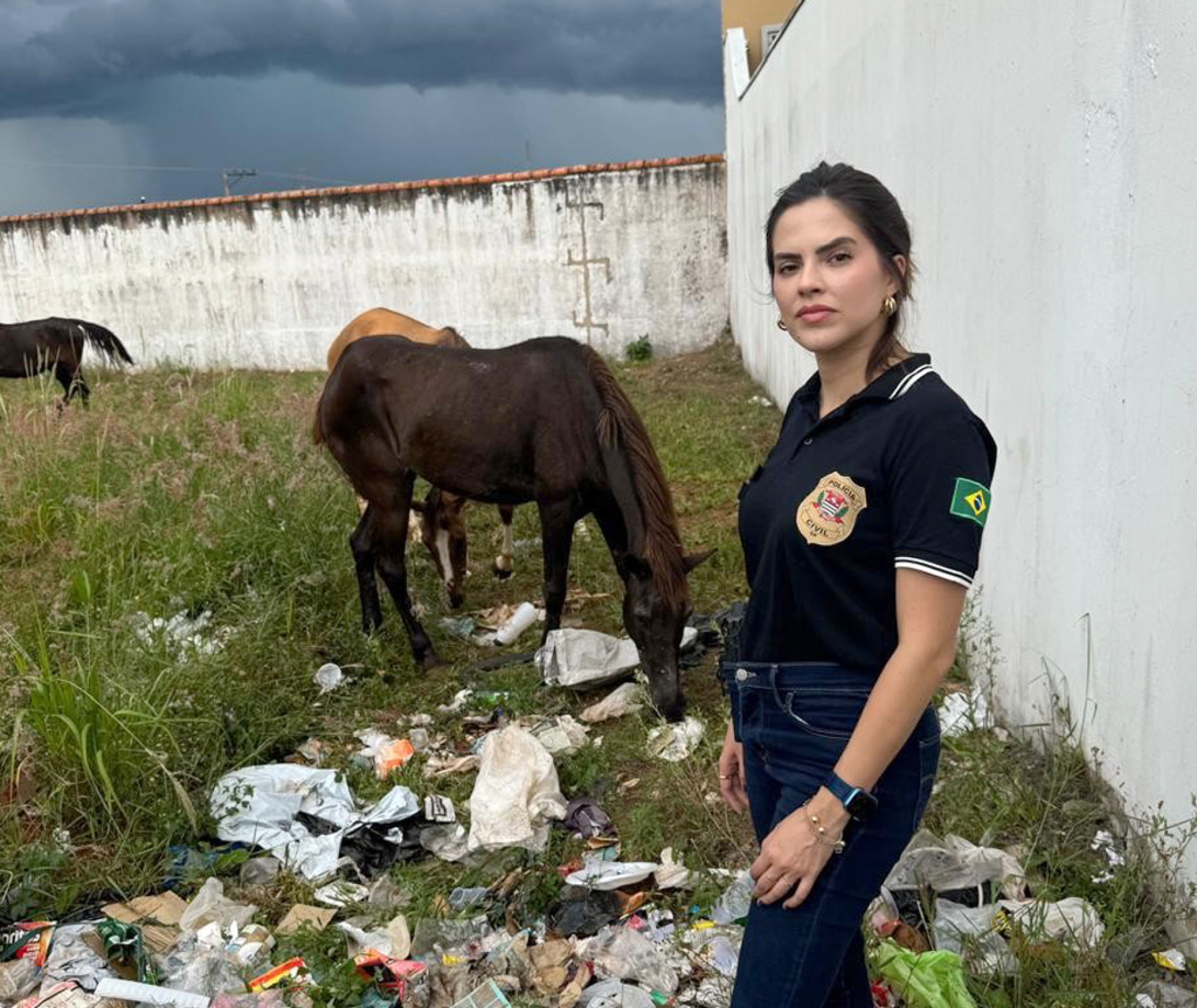 É comum casos de animais doentes sem atendimento veterinário, diz a delegada Júlia Nunes
