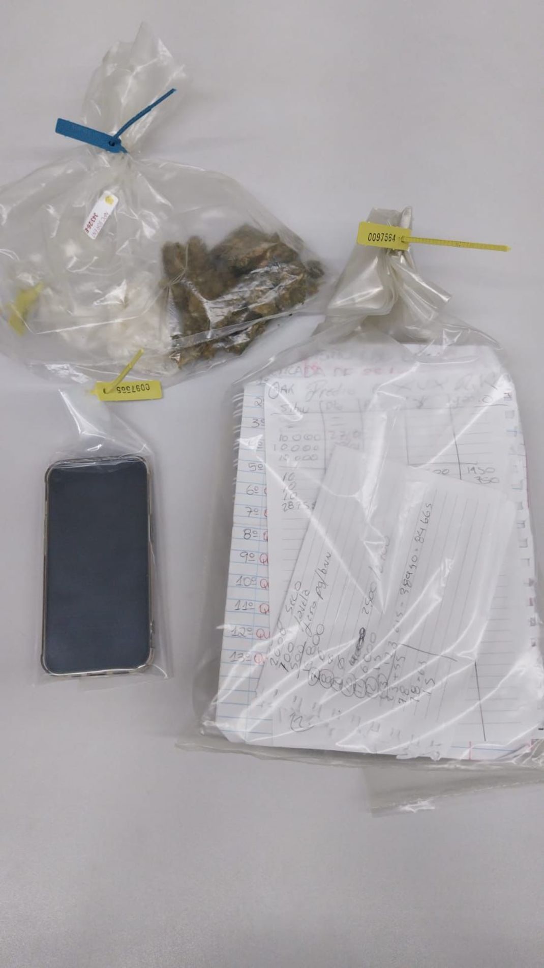 A ação teve início após os agentes receberem informações de que o foragido estaria residindo na região