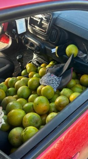  O carro foi recolhido com apoio da Polícia Militar 