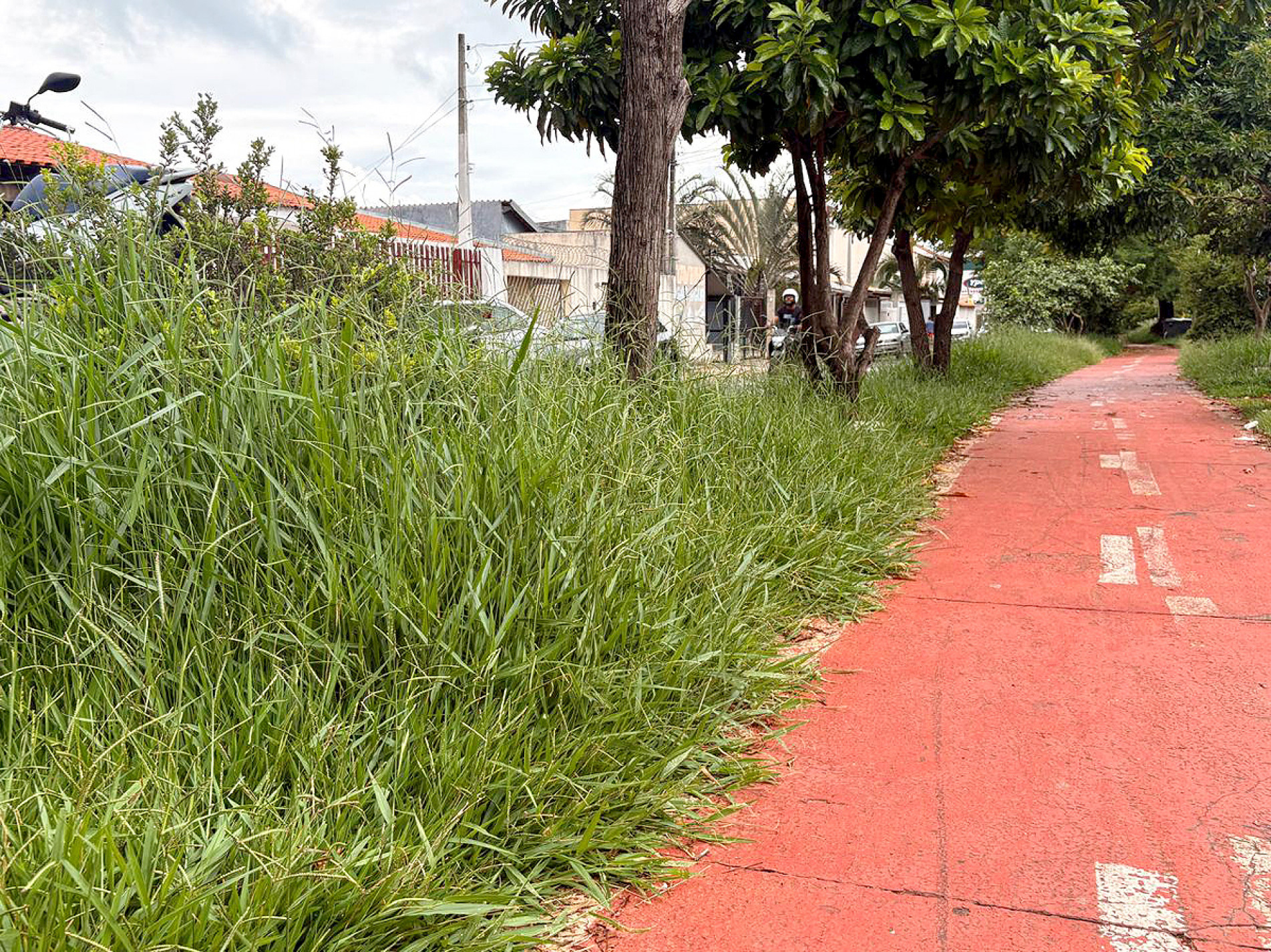 Rua Riusaku Kanisawa é muito movimentada e utilizada diariamente por moradores
