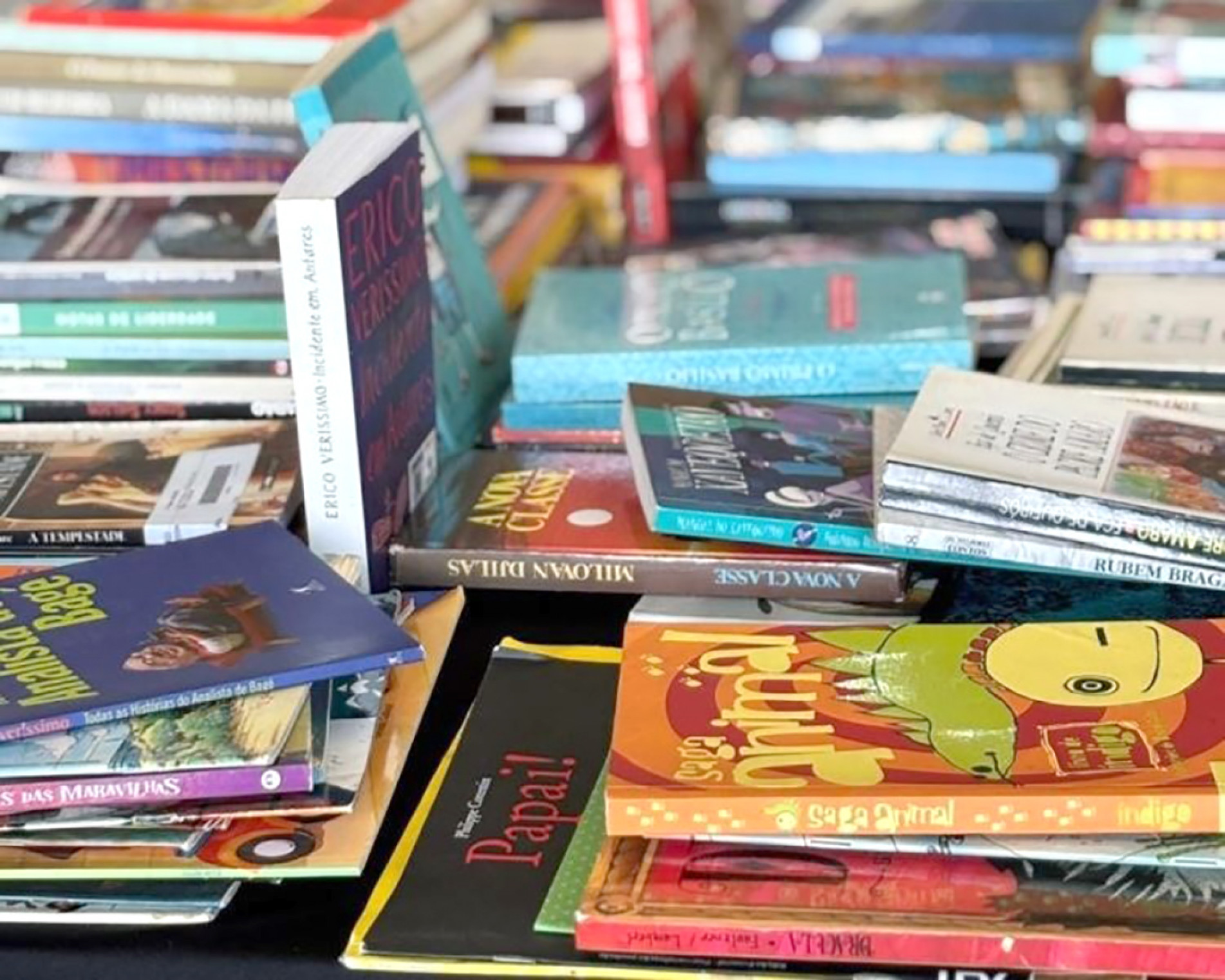 Especialistas e leitores indicam obras de autores brasileiros e estrangeiros para 
quem prefere leitura ao agito dos blocos
