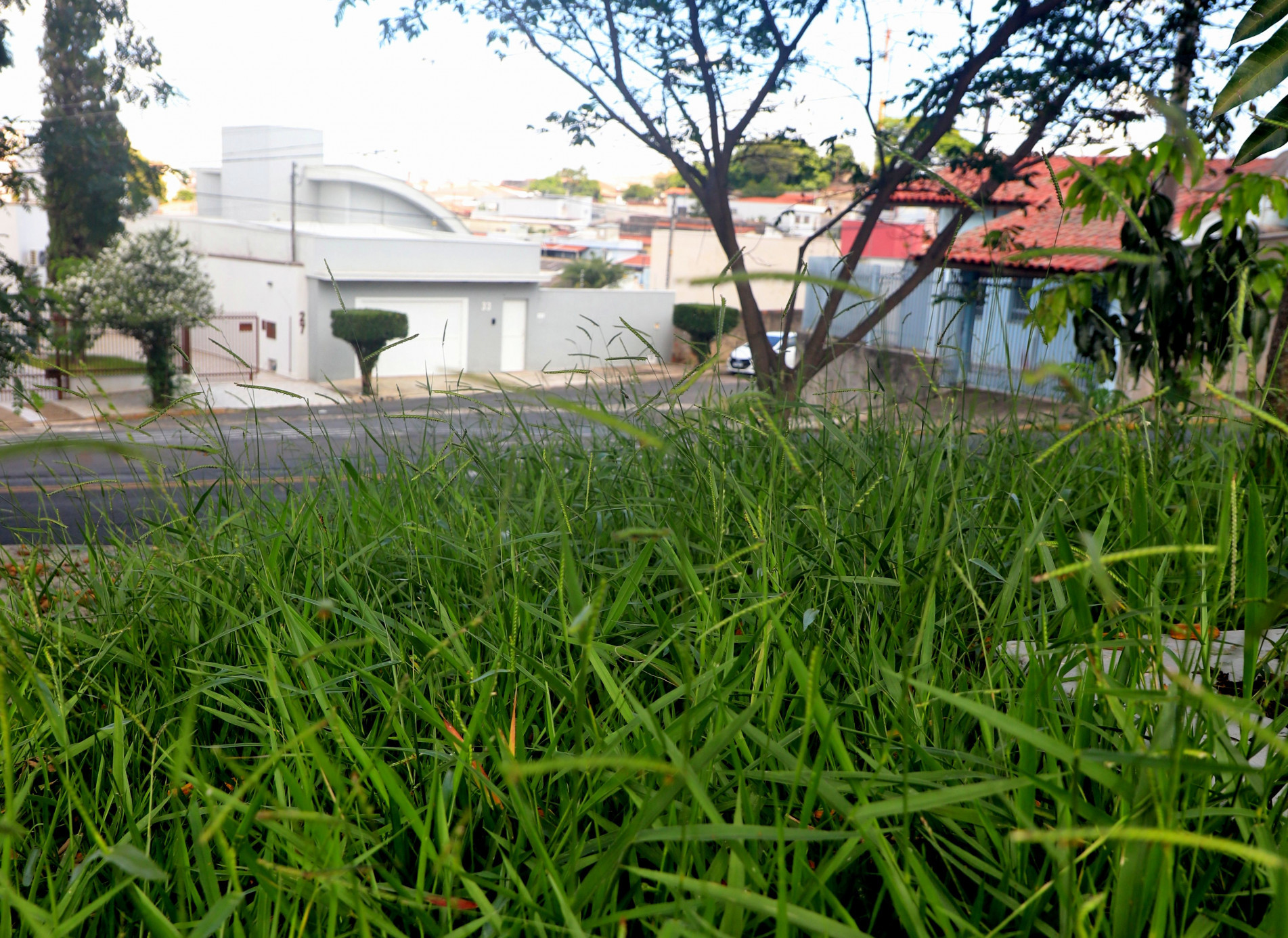 Praça Zumbi dos Palmares