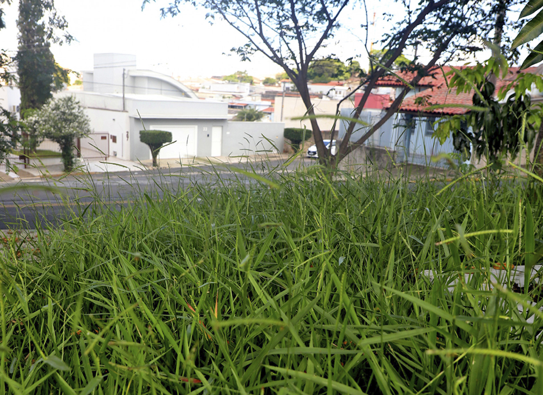 Praça Zumbi dos Palmares, na rua 24 de Outubro, também é alvo de queixas sobre mato alto e falta de manutenção
