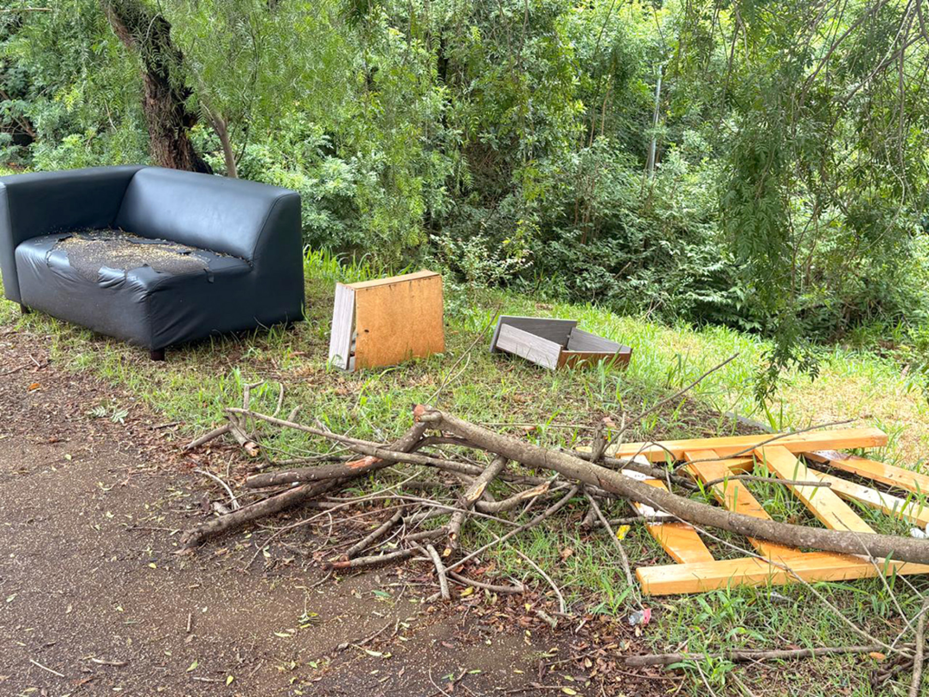 Resíduos descartados de forma irregular são encontrados em áreas do parque, segundo moradores dos bairros
