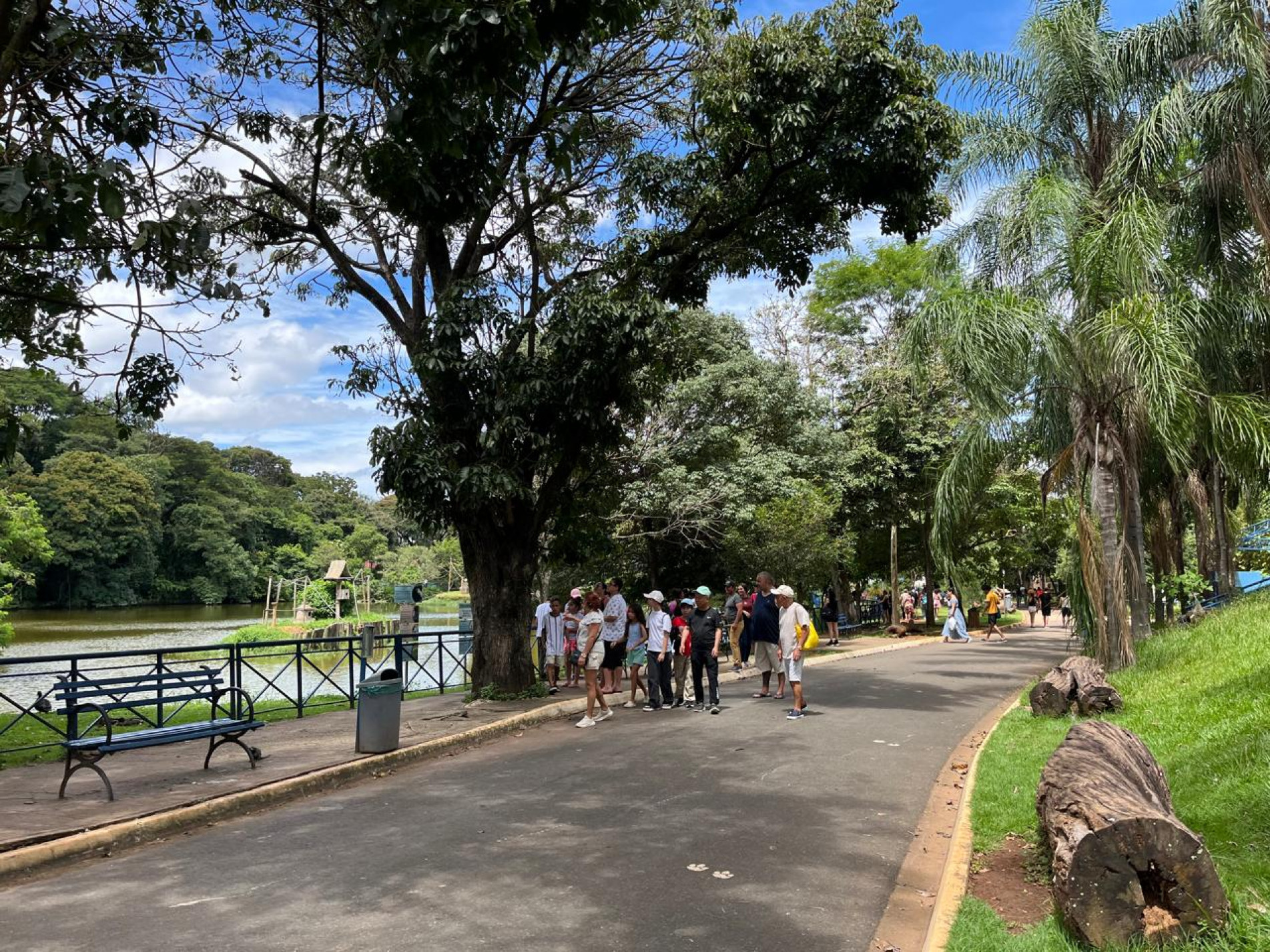 Atração ao ar livre se torna uma alternativa em dia ensolarado e de calor 