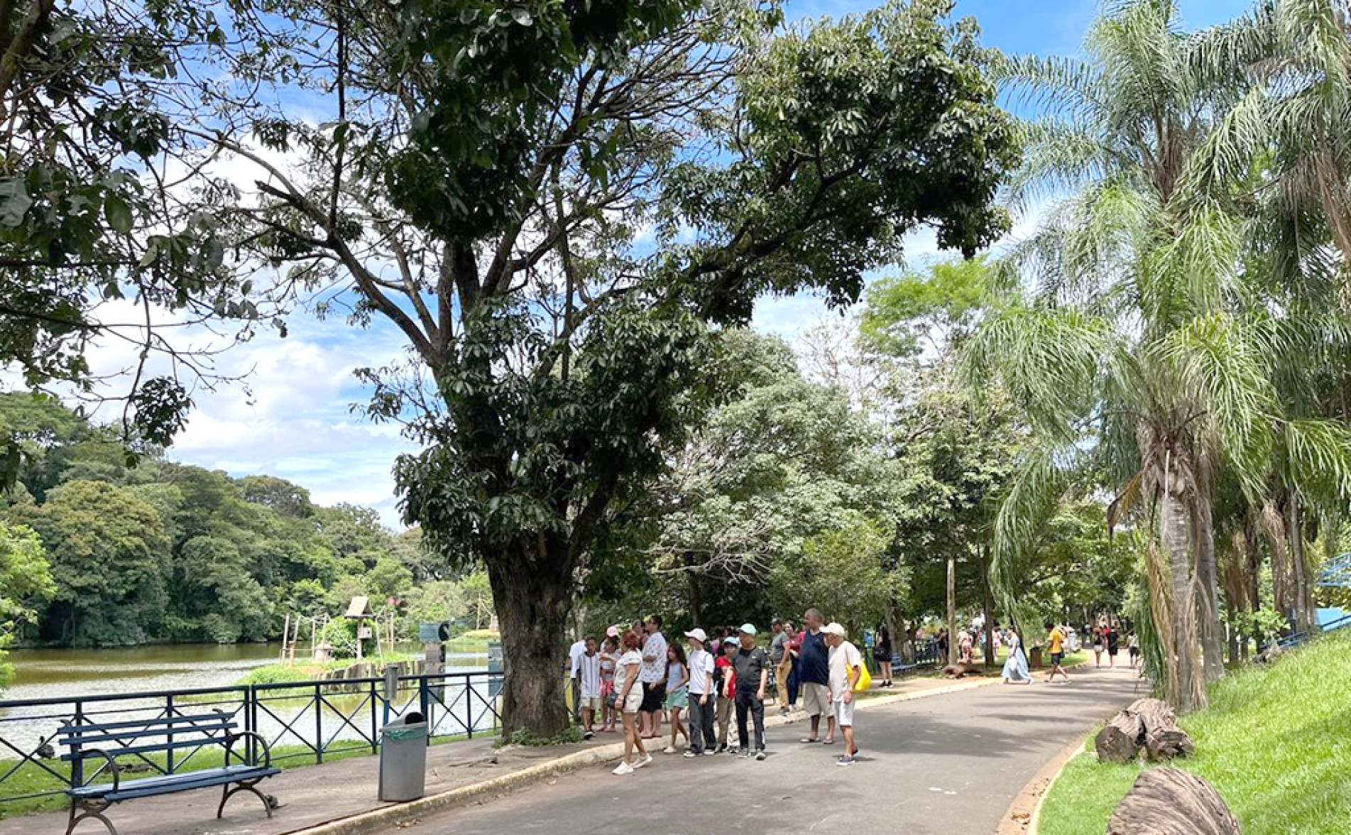 Comissão analisa conceder o Zoológico Quinzinho de Barros à empresa privada
