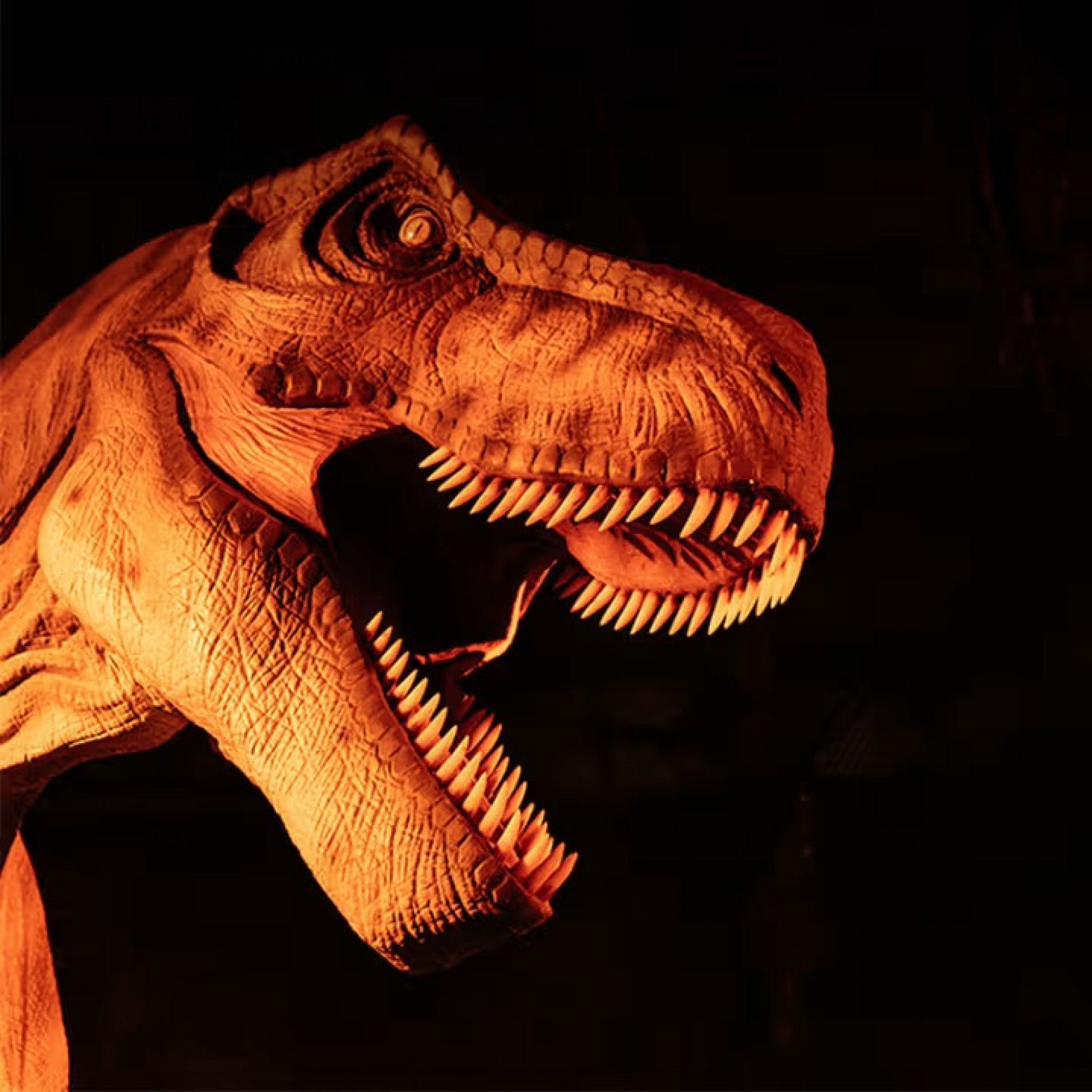 Exposição Dinos Alive está em cartaz na OCA, no Parque do Ibirapuera