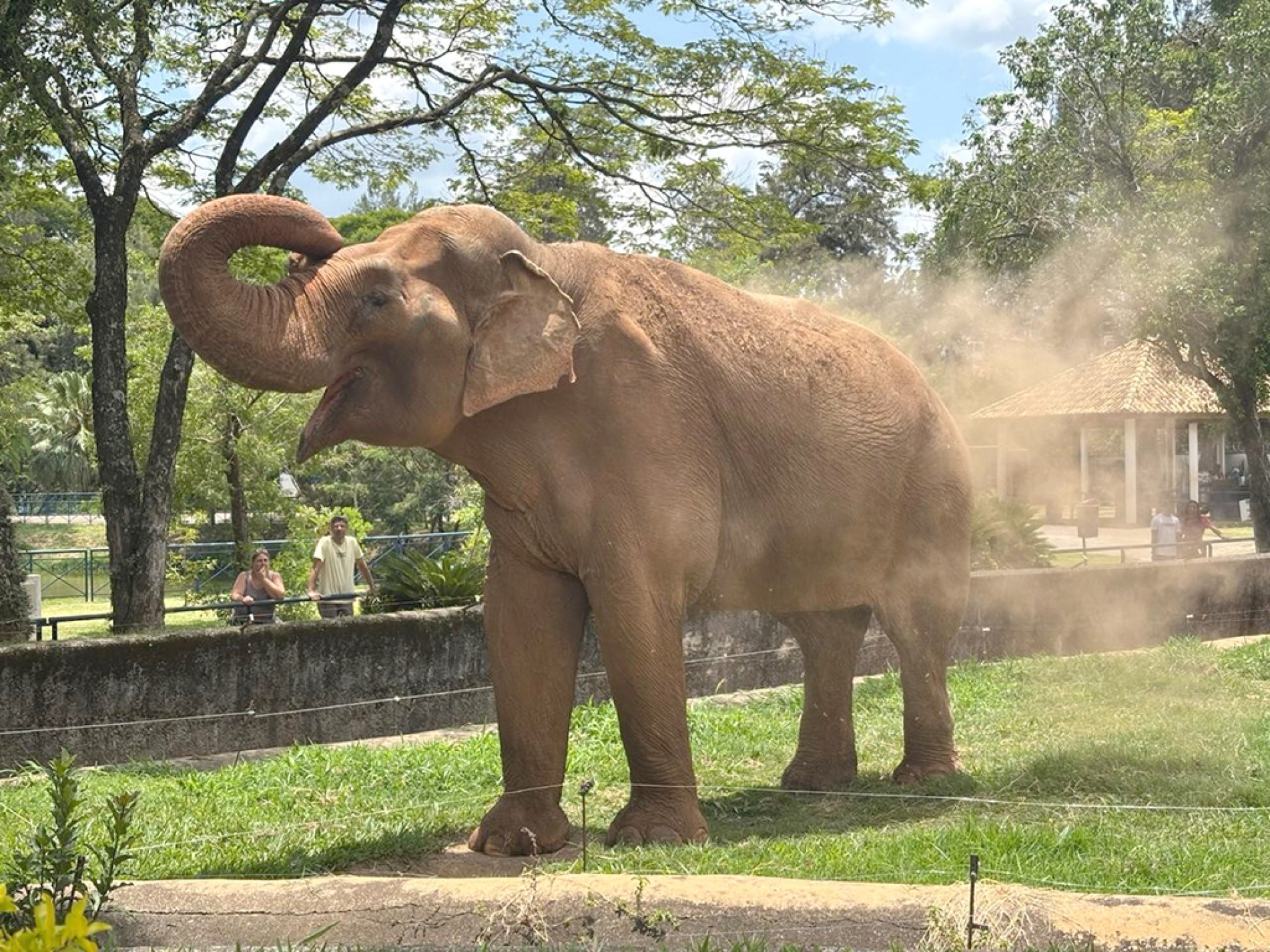 Prefeitura defende permanência do Sandro no Quinzinho: 