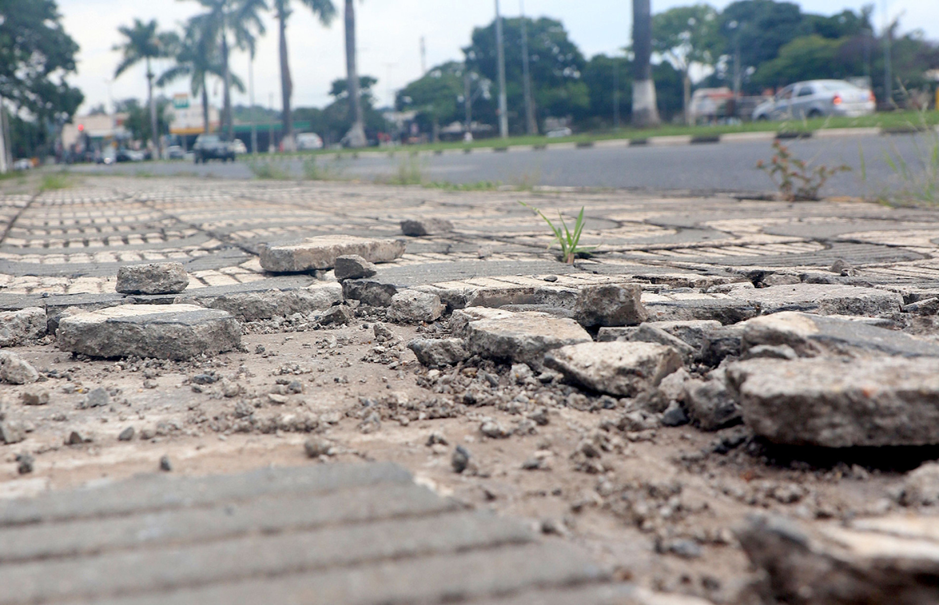 Vereadores cobram manutenção nas calçadas em situação precária e de abandono
