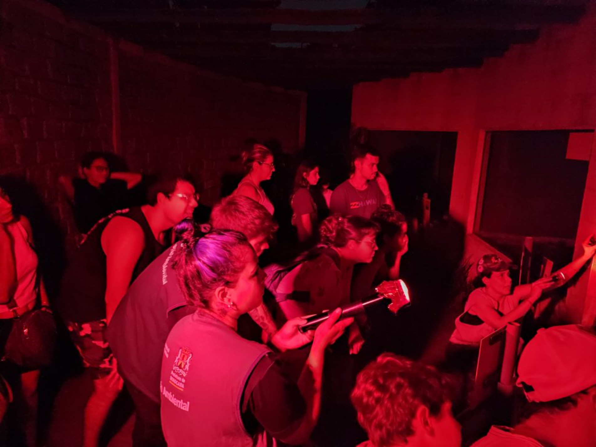 Os animais noturnos são especialmente adaptados para a vida durante a noite, período em que tendem a ser mais ativos