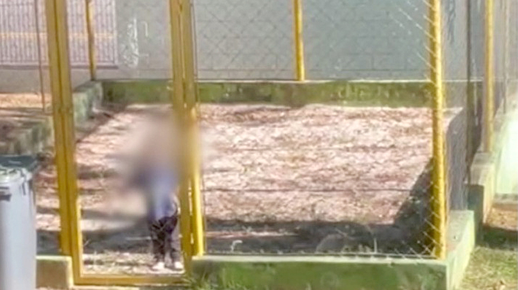 Caso ocorreu em maio de 2023, em uma unidade do Jardim Santa Rosália 
