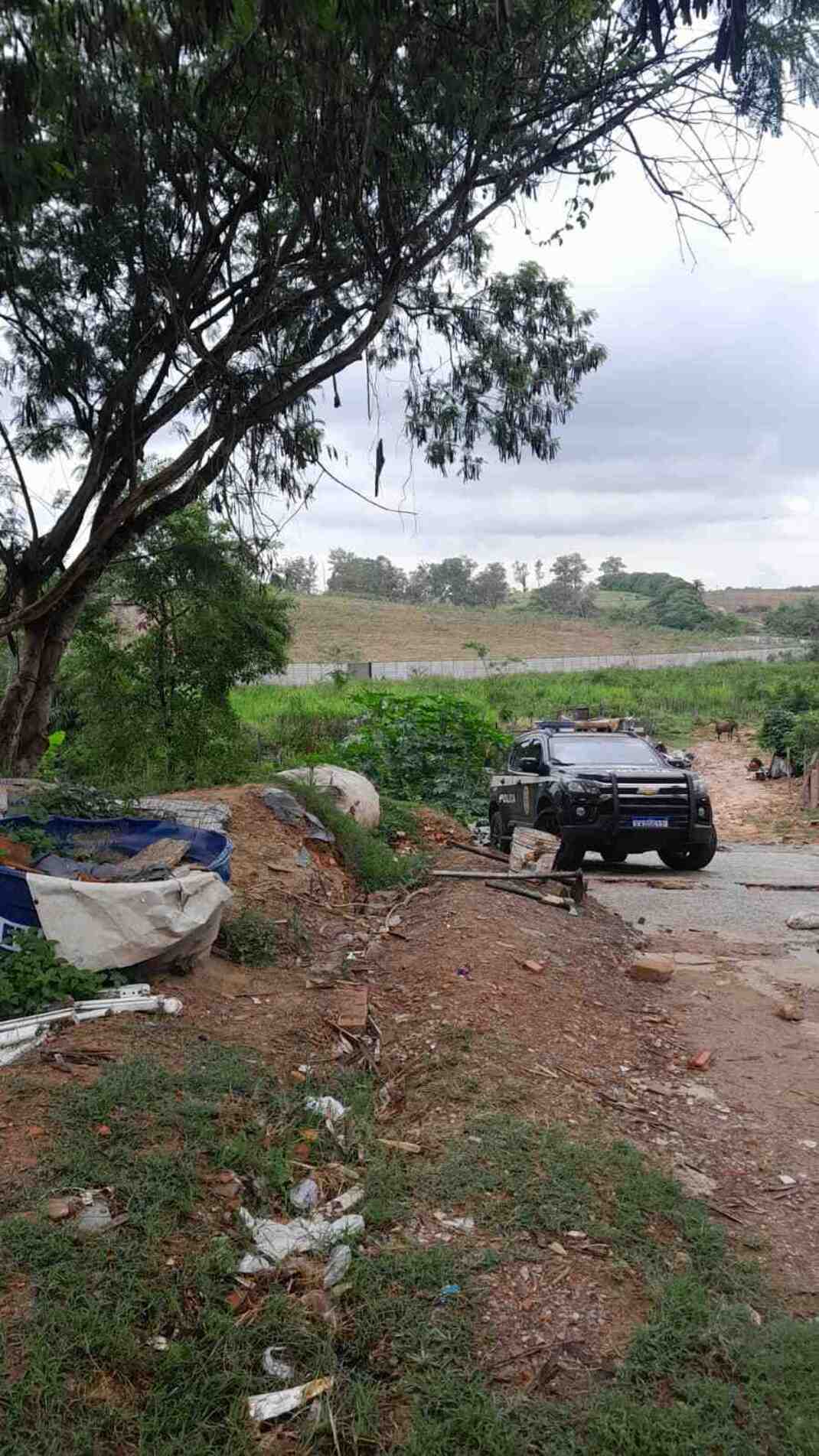 O corpo foi localizado em uma área de mata e apresentava sinais de esquartejamento