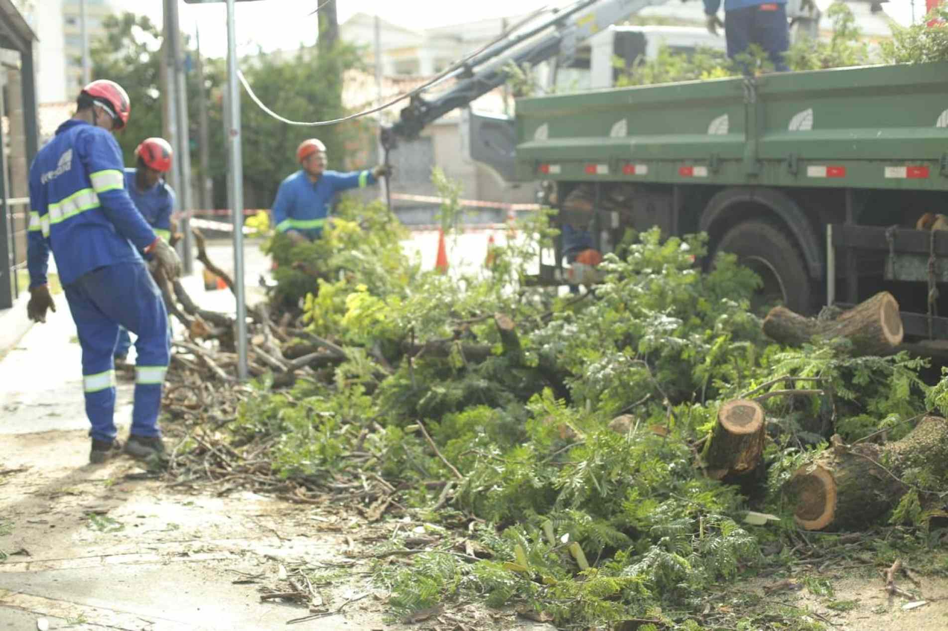Queda de árvore interdita rua em Sorocaba