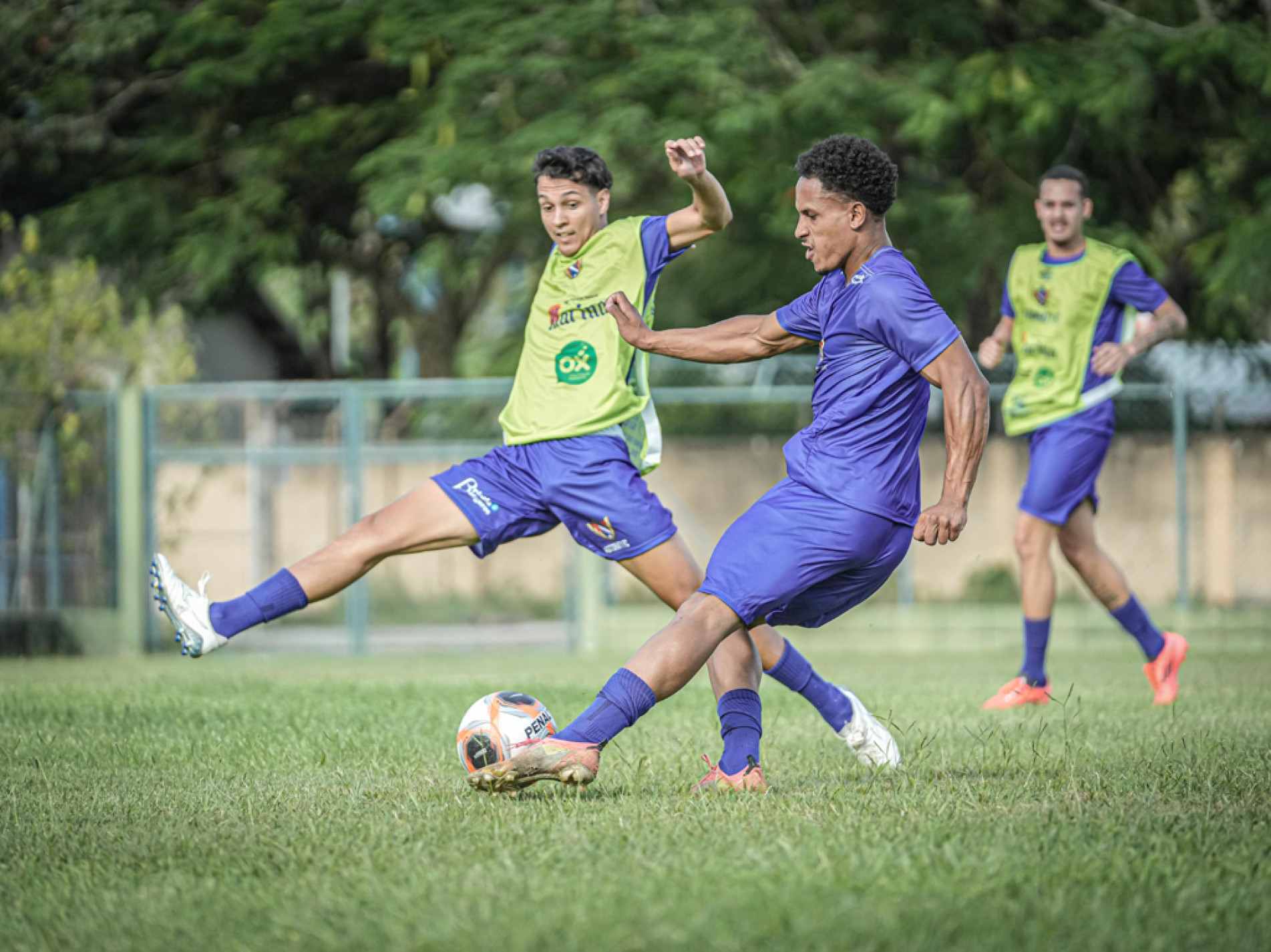 Time segue em intenso treinamento para a estreia em 18 de abril, diante do Flamengo de Guarulhos, no Domenico Paolo Mitidieri
