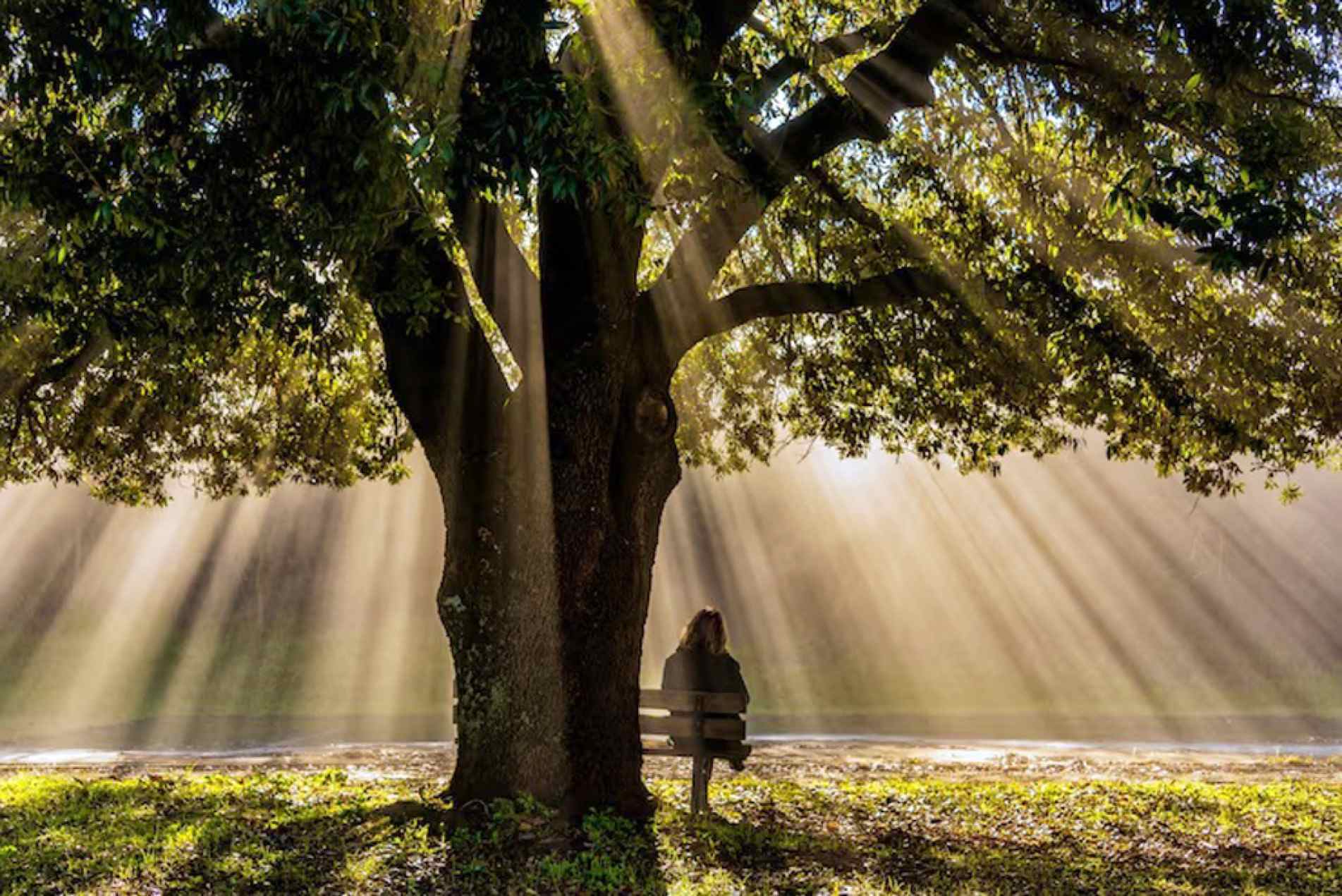 Grande parte do cansaço moderno vem do fato de tentarmos extrair satisfação de coisas que, por natureza, são limitadas: dinheiro, status, reconhecimento etc...