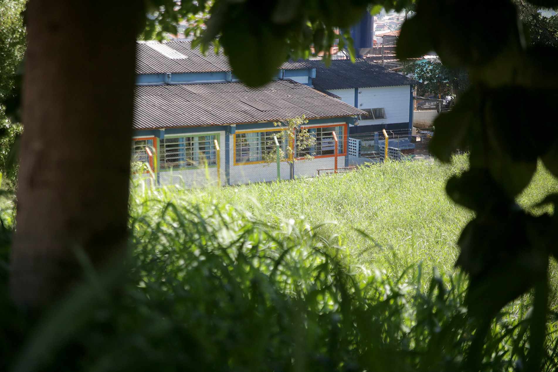  Municipes temem o surgimento de animais 
peçonhentos e os riscos à saúde pública.