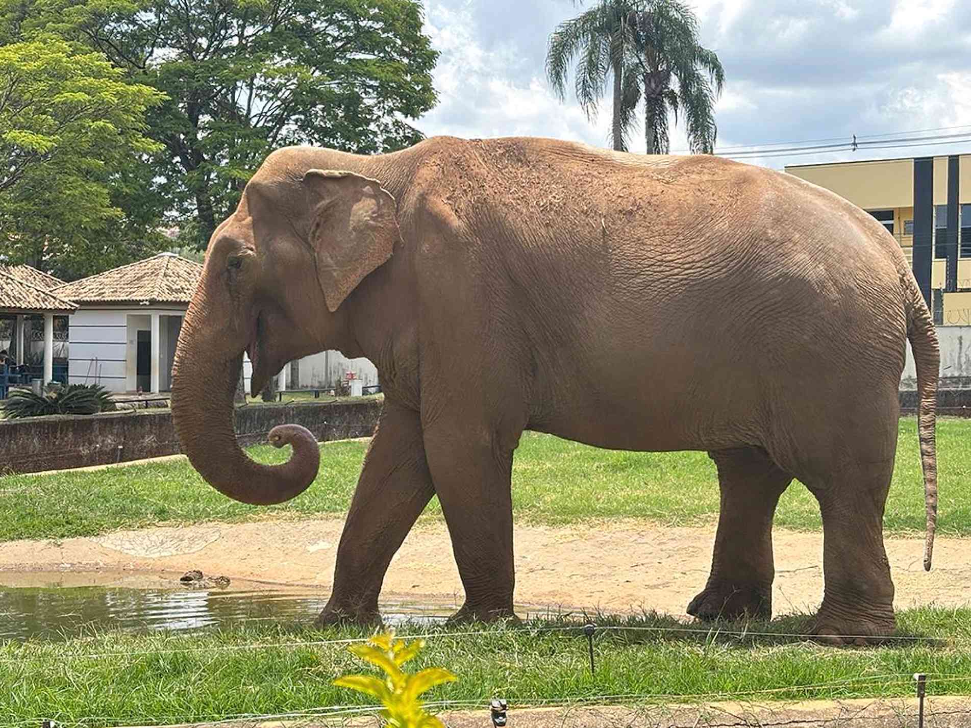 Impasse se arrasta desde 2025 e já passou por diferentes decisões judiciais 