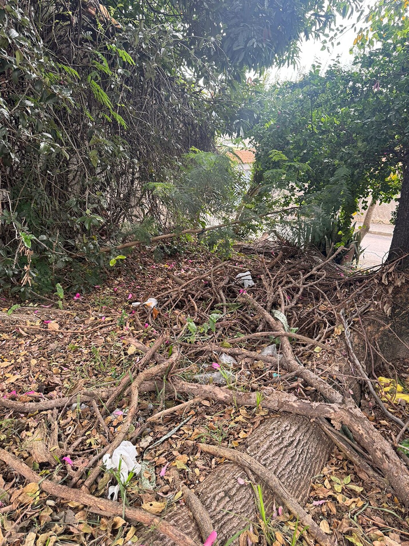  Denúncias indicam que o imóvel estaria sendo utilizado como uma possível 