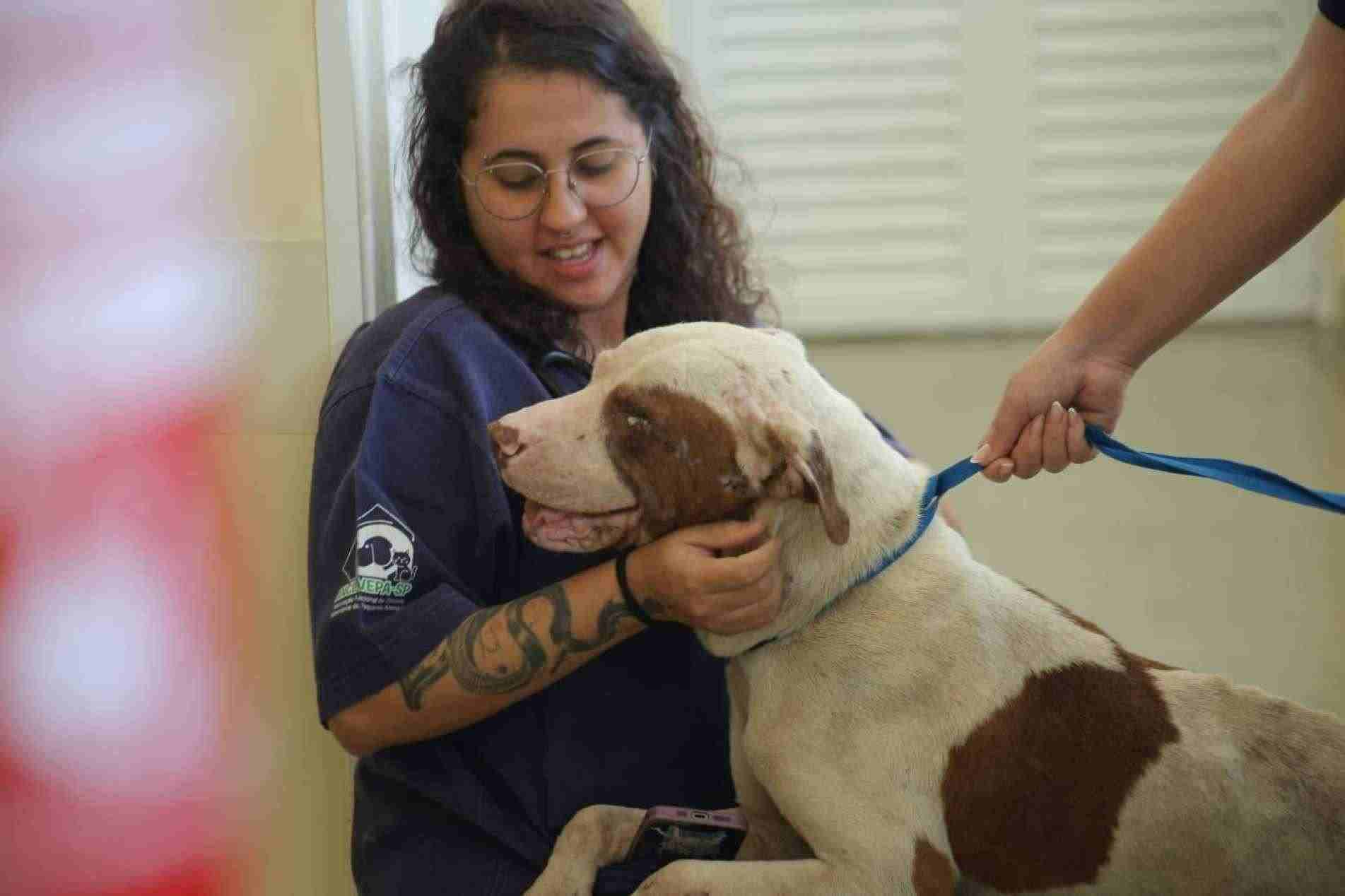 O animal está bem, saudável e sem sequelas
