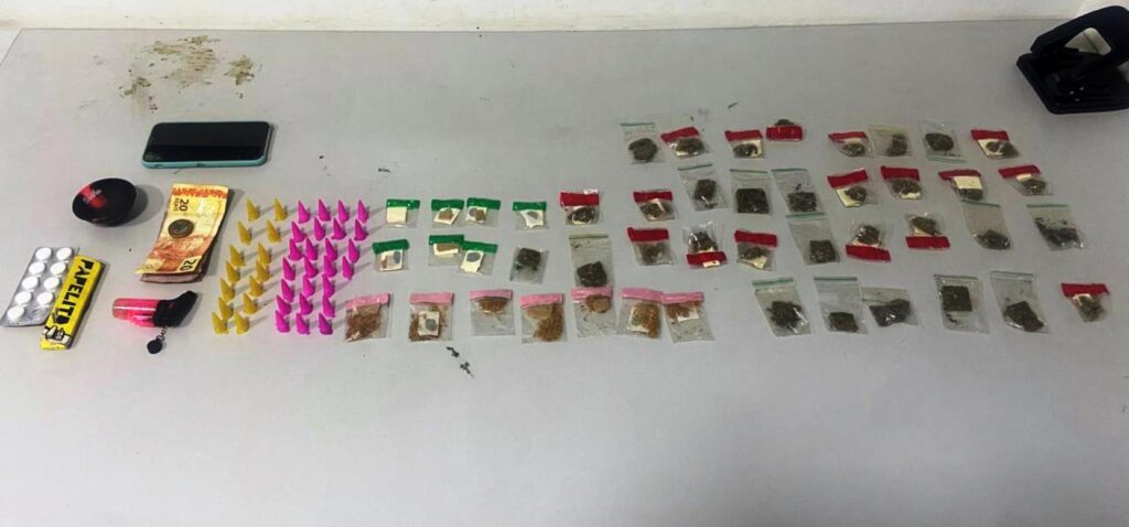  O indivíduo tentou fugir, mas foi capturado em uma área de mata