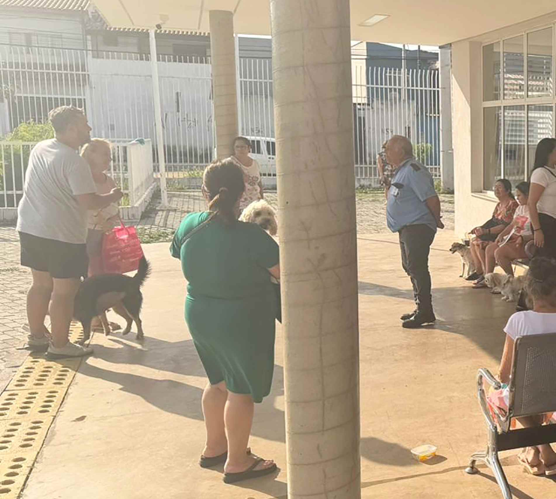  População reclama da demora e condições no atendimento dos pets
