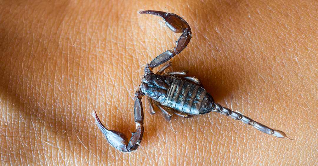 A vítima é um homem de 65 anos, que morreu no dia 14 de março