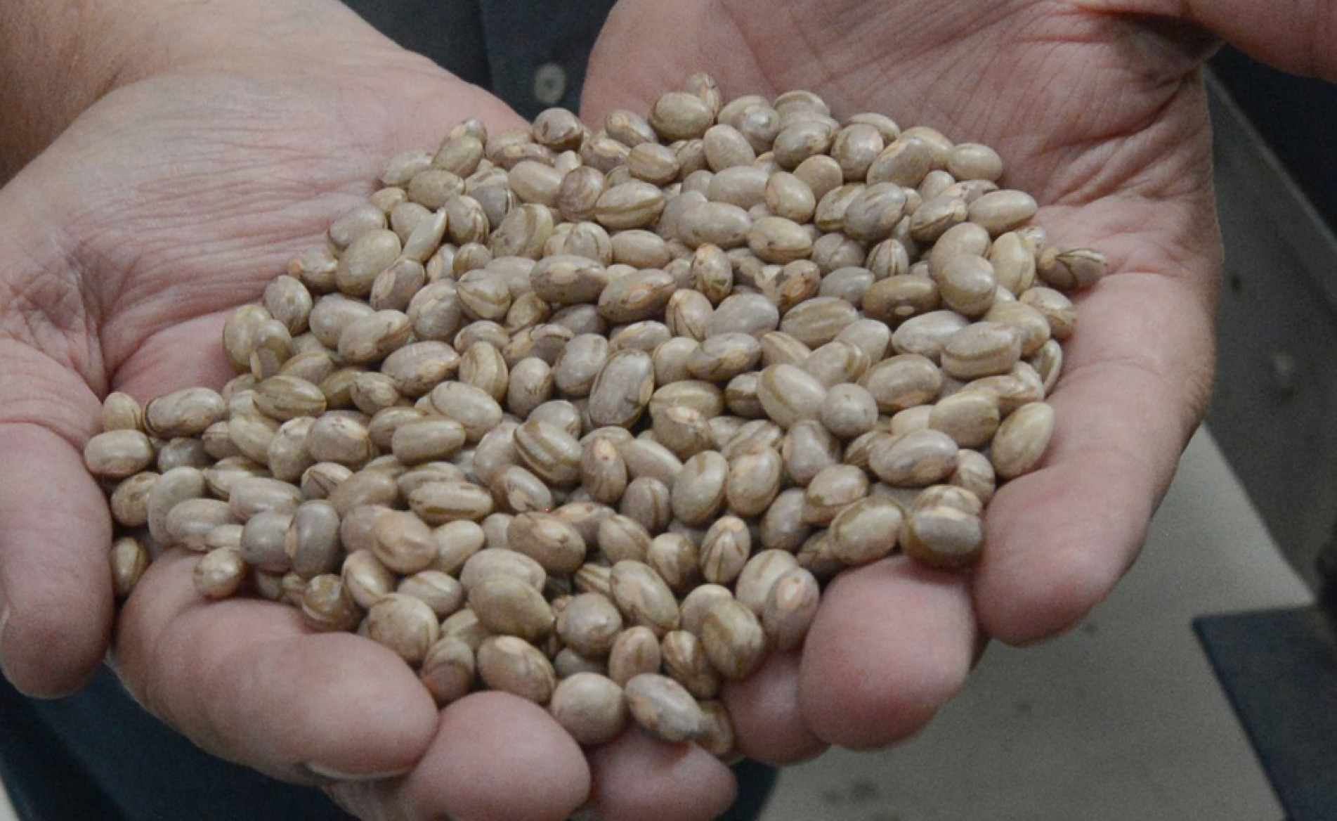 Aumento foi de até 21% na região Norte do País
