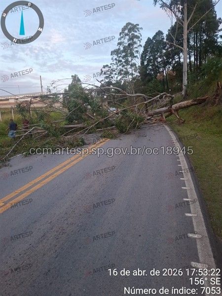 Após a liberação, o trânsito voltou a fluir normalmente