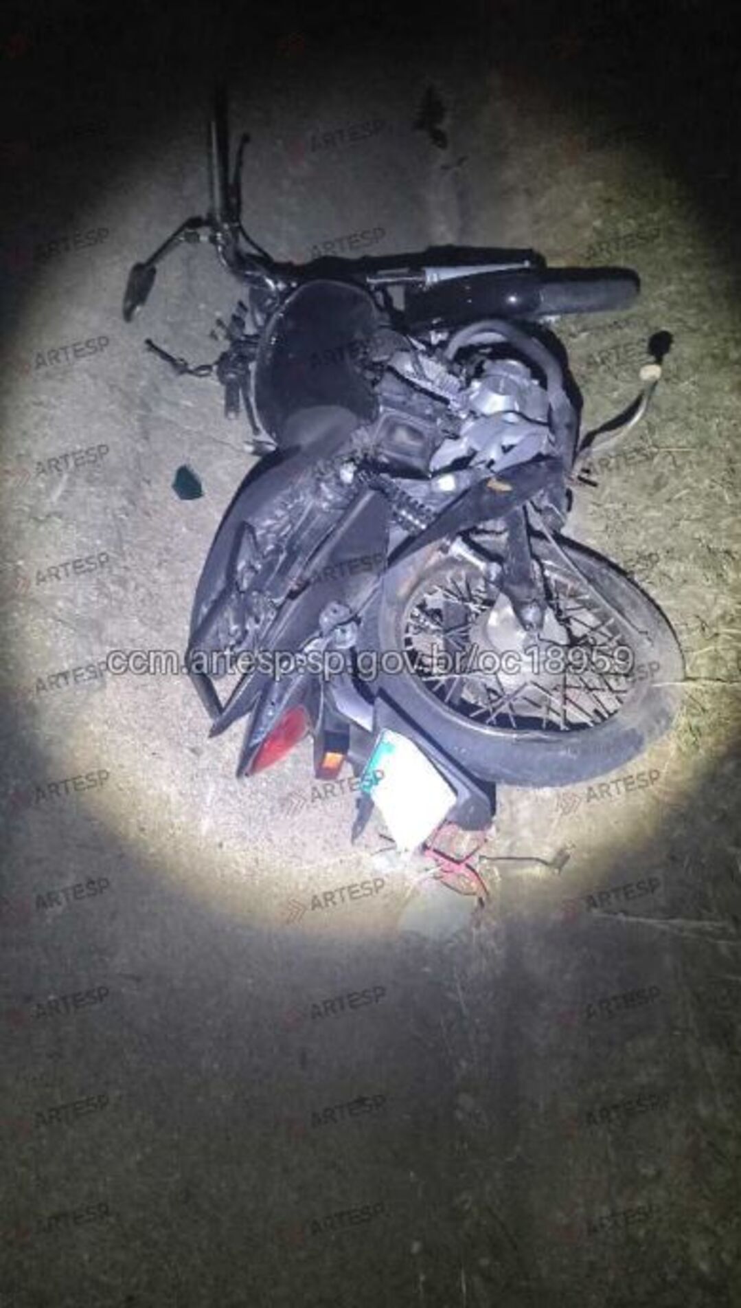 A vítima foi atropelada por um veículo não identificado