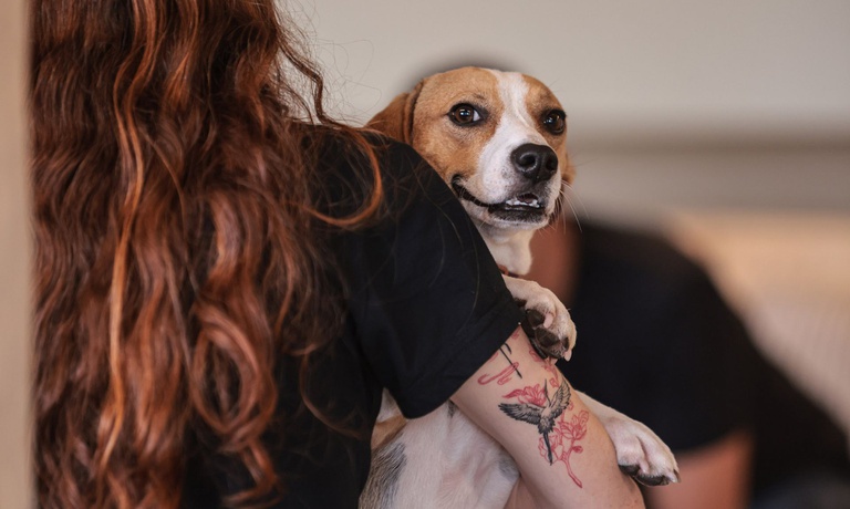 Nova legislação traz segurança jurídica e promove o bem-estar dos animais durante processos de separação