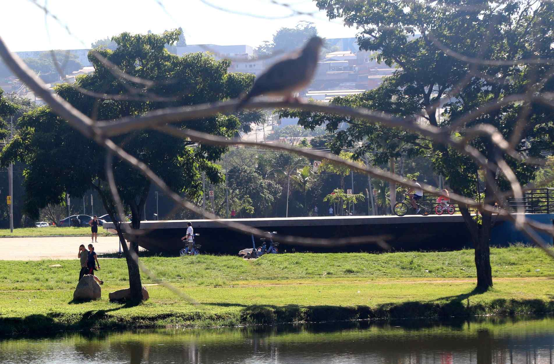 em viajar, famílias e visitantes escolheram parques, caminhadas, cafés e centros comerciais para curtir a folga com praticidade e descanso