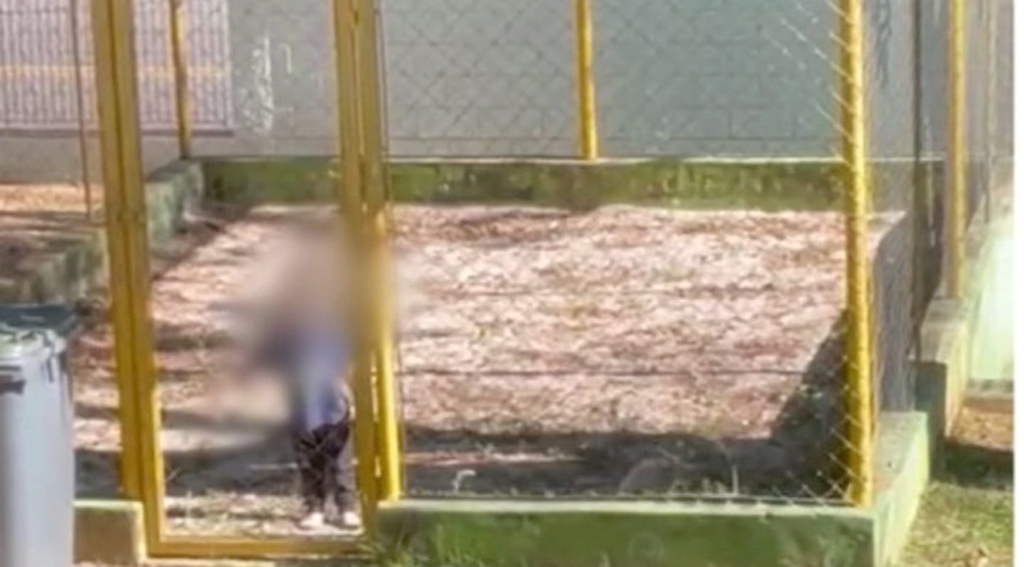  Denúncia condenou a Prefeitura de Sorocaba a pagar R$20 mil de indenização a família do menor pelo ocorrido
