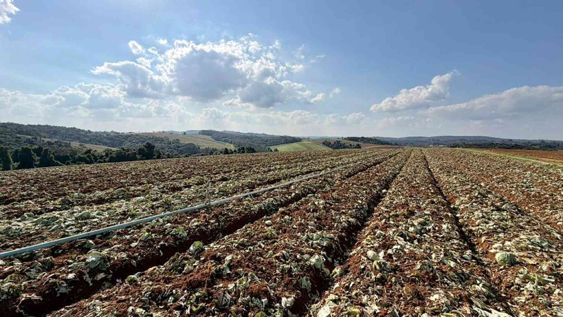  Aporte visa rápida recuperação para evitar efeitos em cadeia sobre o abastecimento e os preços