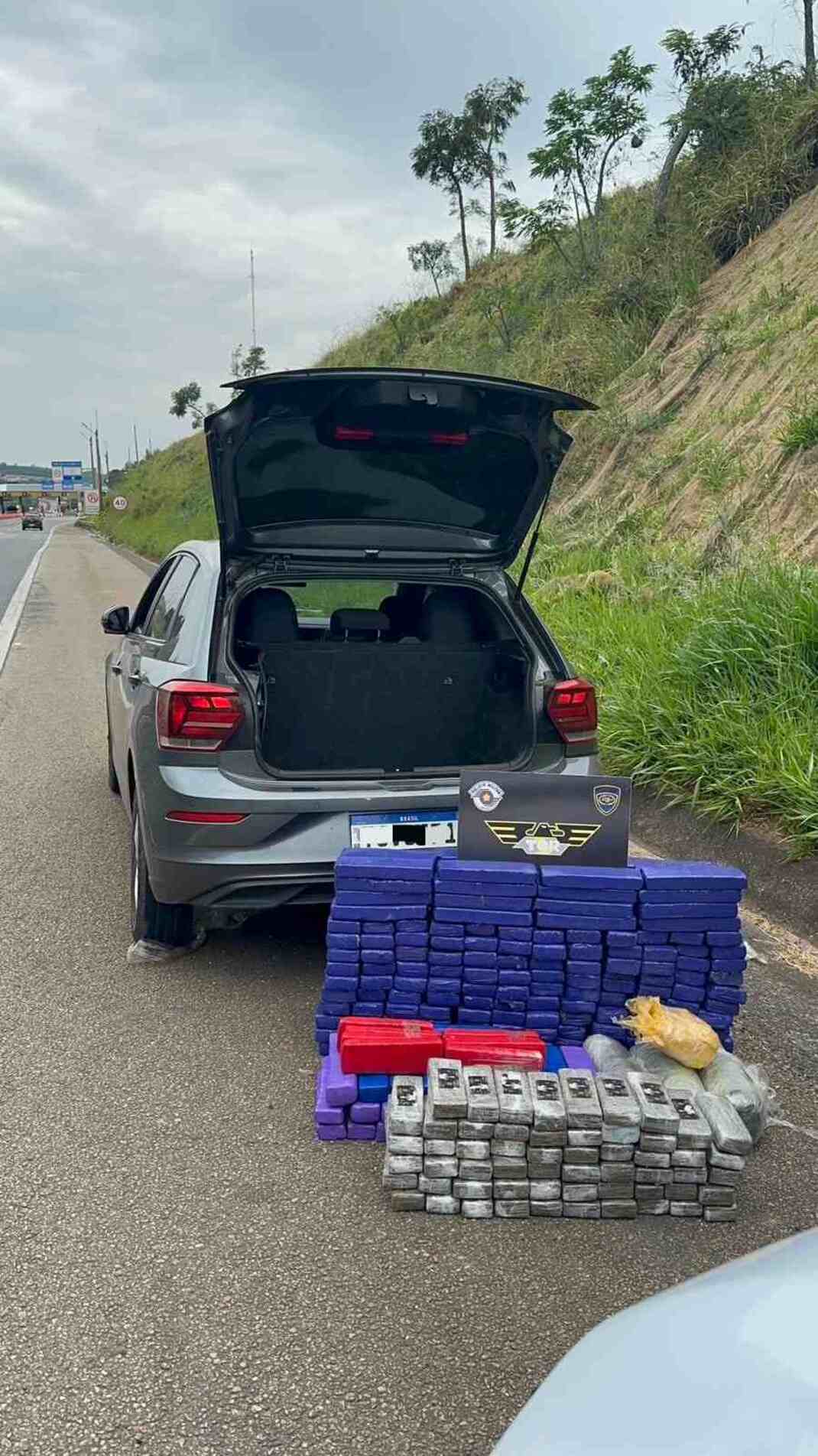  Os policiais encontraram 260 tabletes de maconha