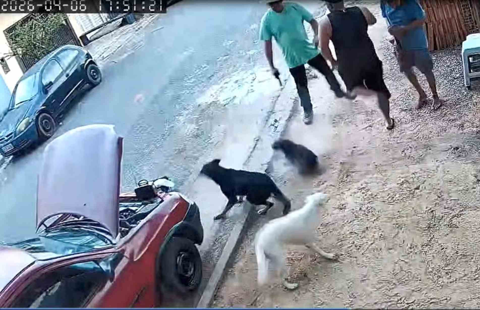 Parlamentar, que também atua como investigador da Polícia Civil, aparece fazendo disparos em direção ao chão enquanto cães avançavam contra ele
