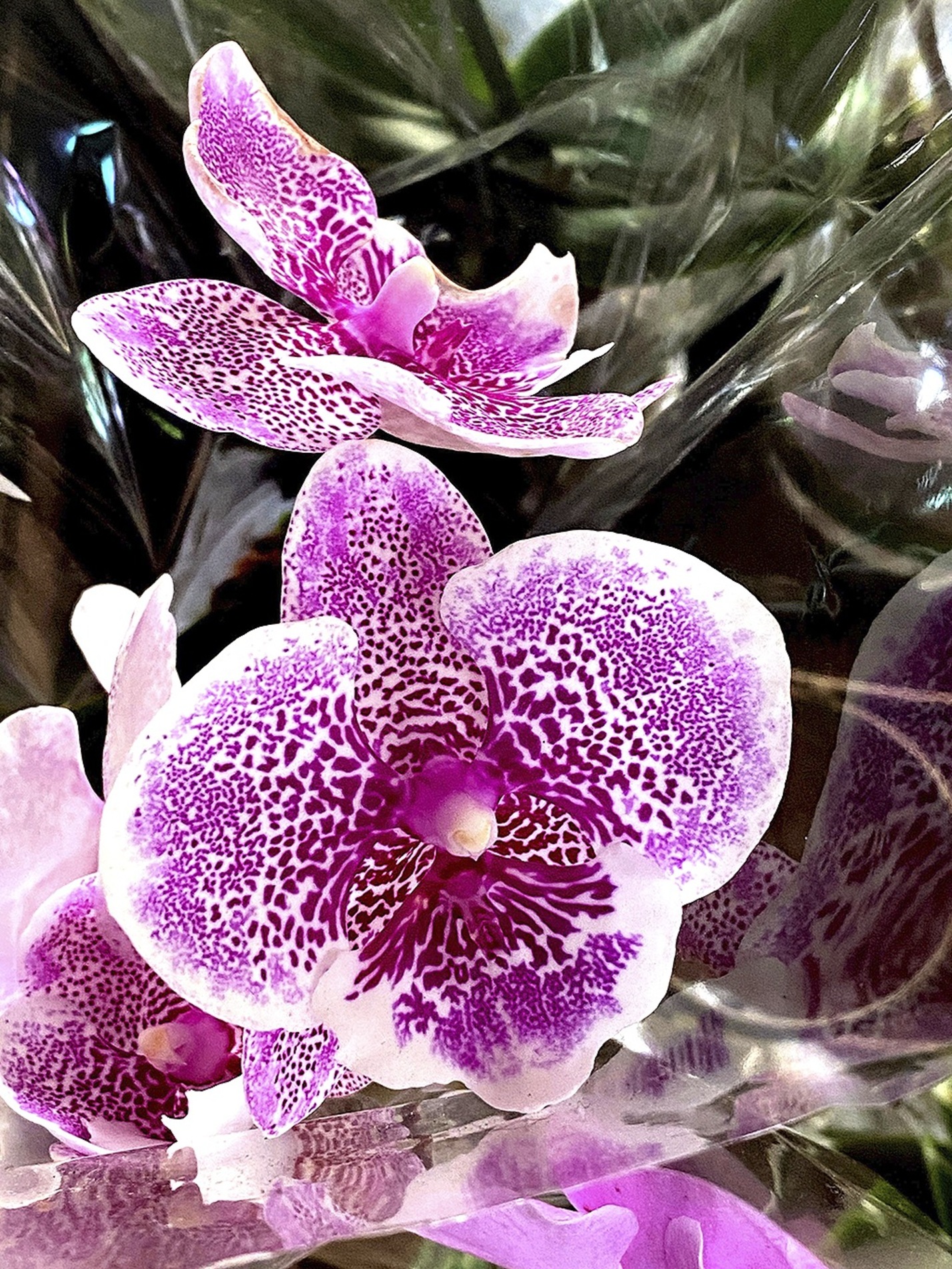 Arranjos florais se destacam como opção para presentear as mães
