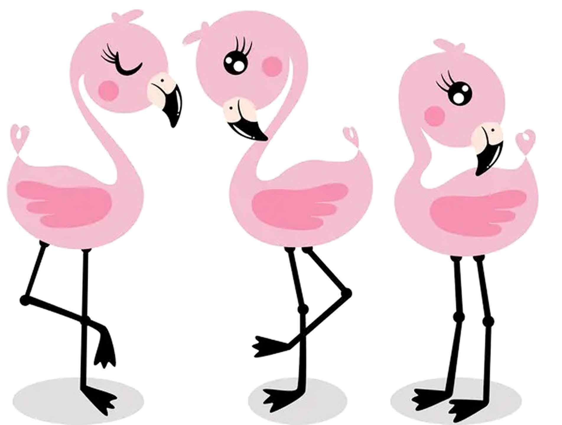 A cor rosada dos flamingos vem da alimentação rica em carotenoides, presentes em algas e pequenos crustáceos
