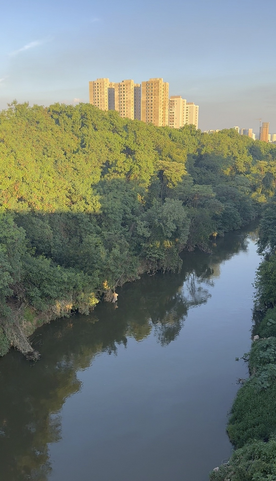 Cetesb afirma que licenciamento da Marginal Direita considerou impactos ambientais como drenagem urbana, impermeabilização do solo e supressão de vegetação
