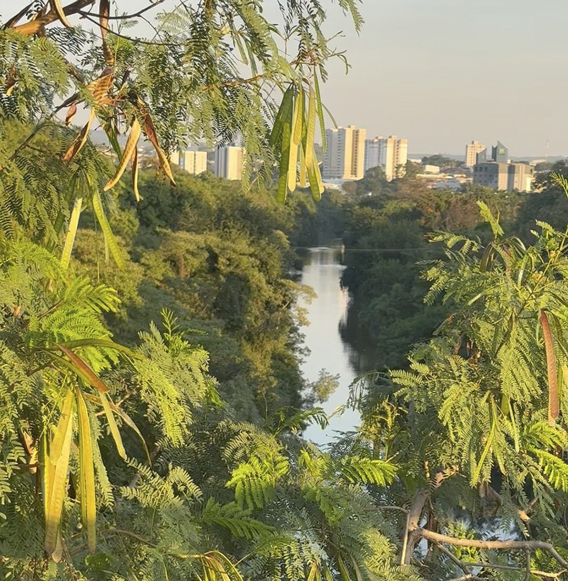  Secretários afirmam que  a Marginal Direita não foi projetada para resolver o problema de alagamentos da cidade 
