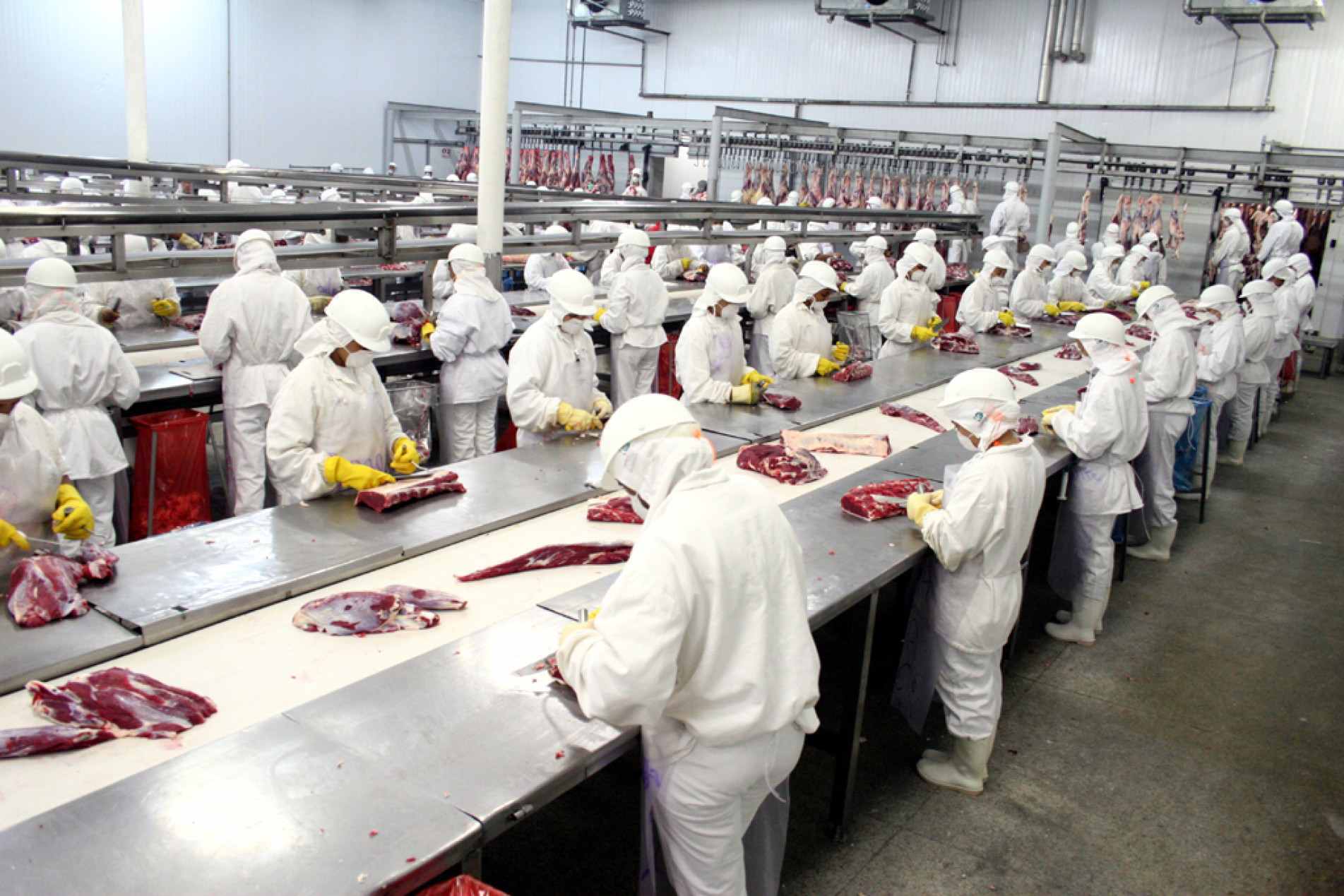Medida depende de resposta sobre antibióticos na pecuária
